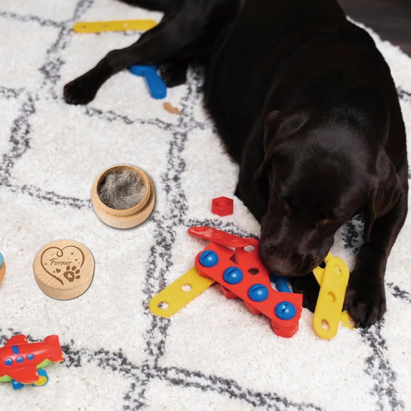 CREATCABIN Mini urna rotonda in legno di acacia, per ceneri di cani e gatti per conservare peli degli animali domestici urna decorativa in legno di acacia regalo commemorativo per commemorare la