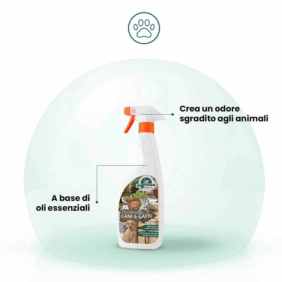 Il Paese Verde - Spray Disabituante Cani & Gatti - Repellente per Gatti - Repellente per Cani - A Base di Oli Essenziali - Innocuo per Animali, Persone e Piante