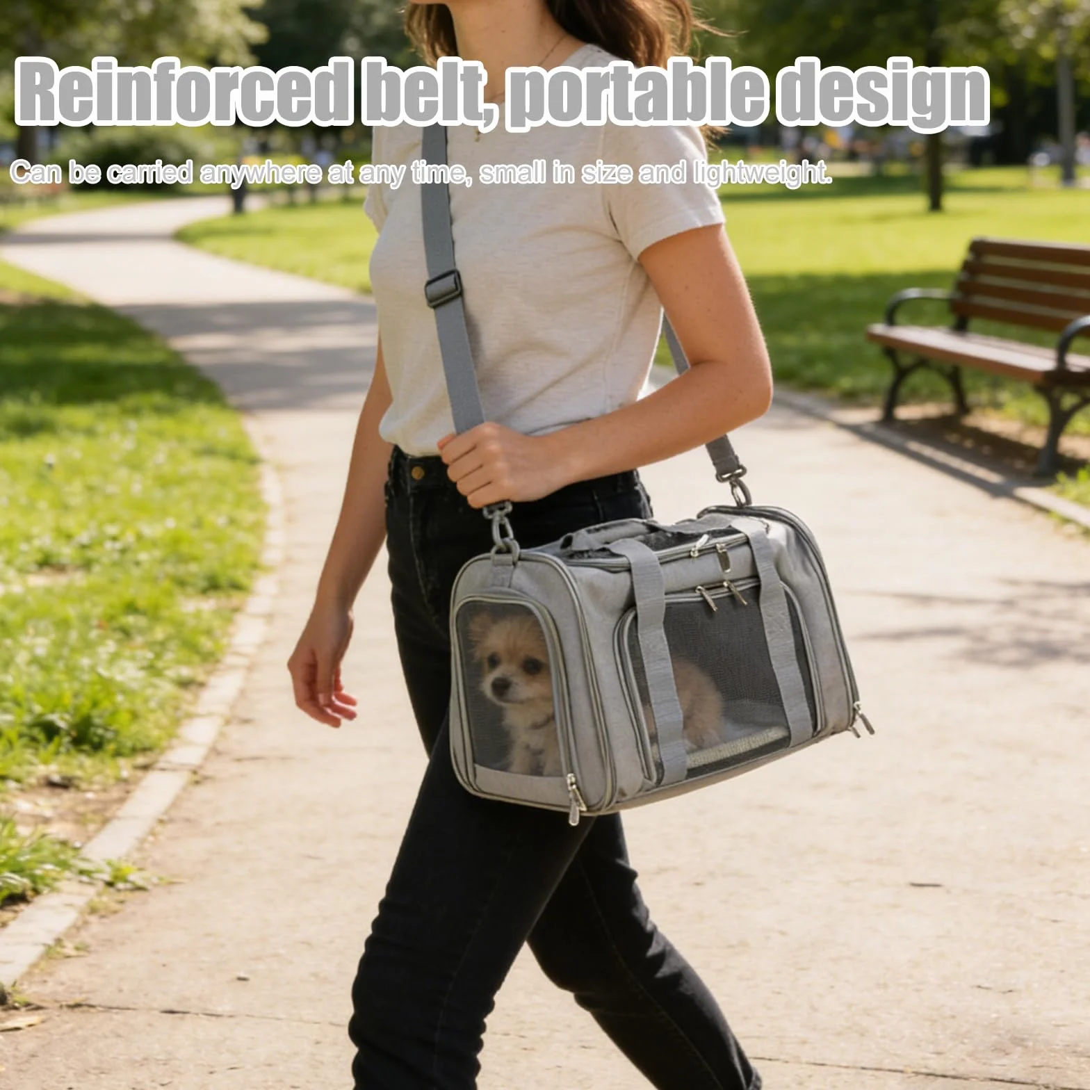 Borsa per il trasporto del gatto: pieghevole e traspirante, borsa per il trasporto di cani, comoda per gatti fino a 5 kg, viaggi e gite 45 × 30 × 30 cm