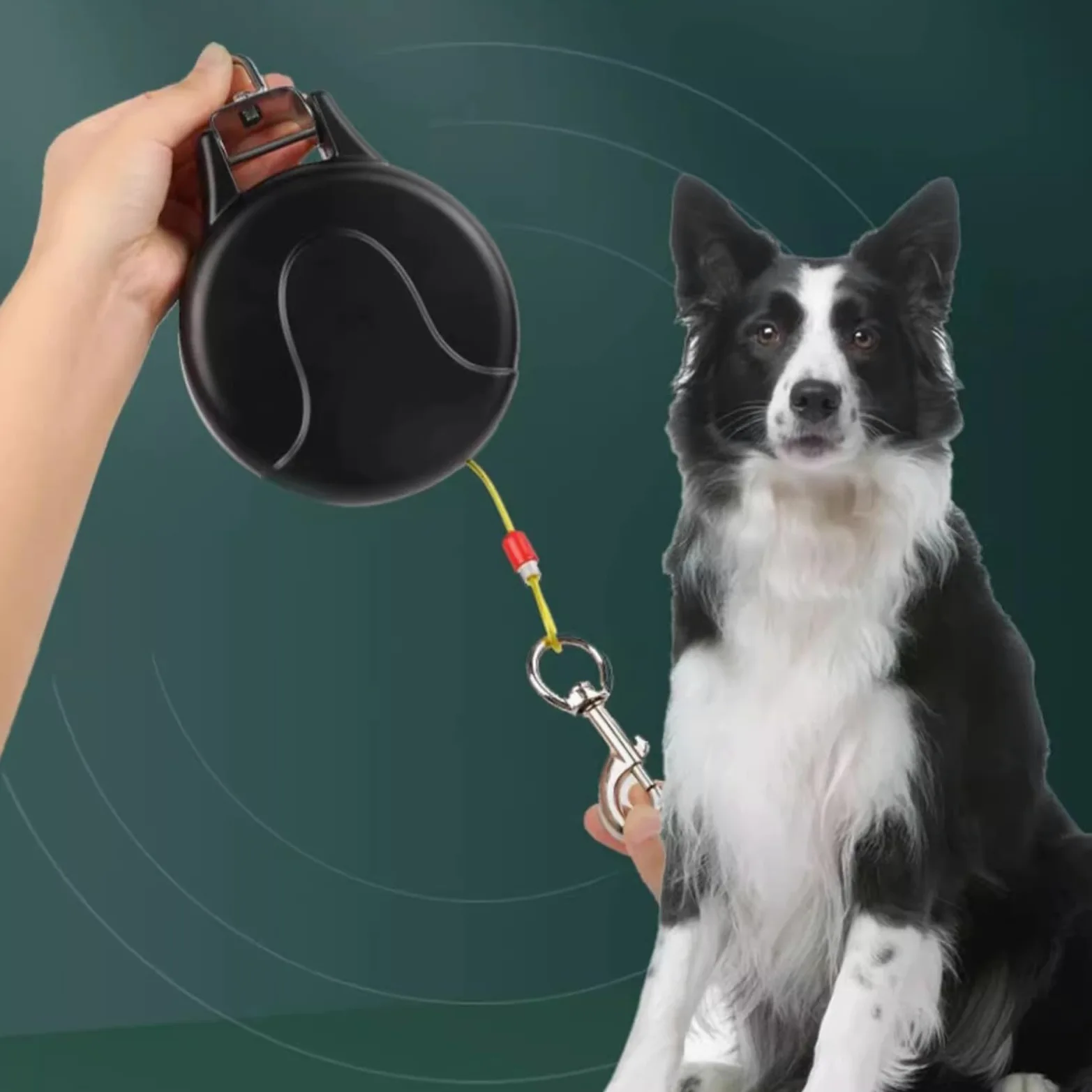 Guinzaglio Estensibile Per Cani Strumento Lungo Di Facile Conservazione | Guinzaglio Retrattile Da Parete Per Passeggiate Corsa Escursioni Spiaggia Cortile Giardino Attività All'Aperto