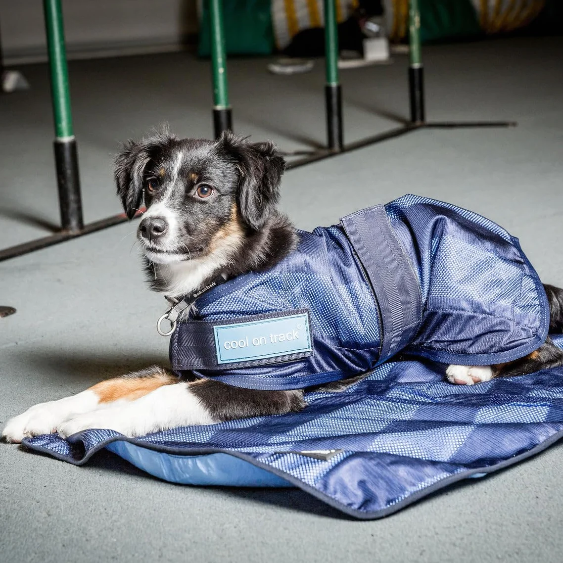 DOG Copenhagen Back-on-Track Cappotto rinfrescante anti raggi UV per cani 60 cm Blu