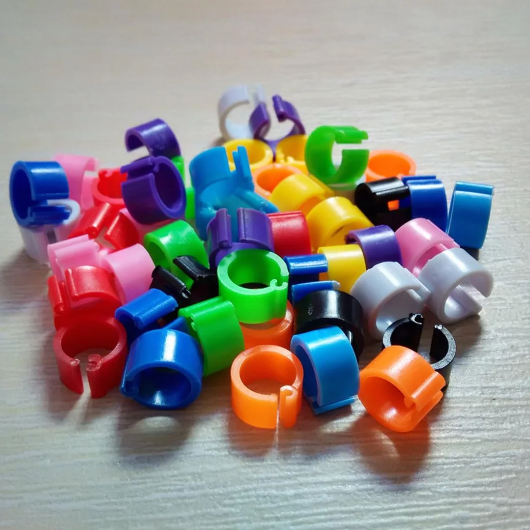 100 Anelli colorati in plastica 8 mm per gambe di piccioni 10 colori