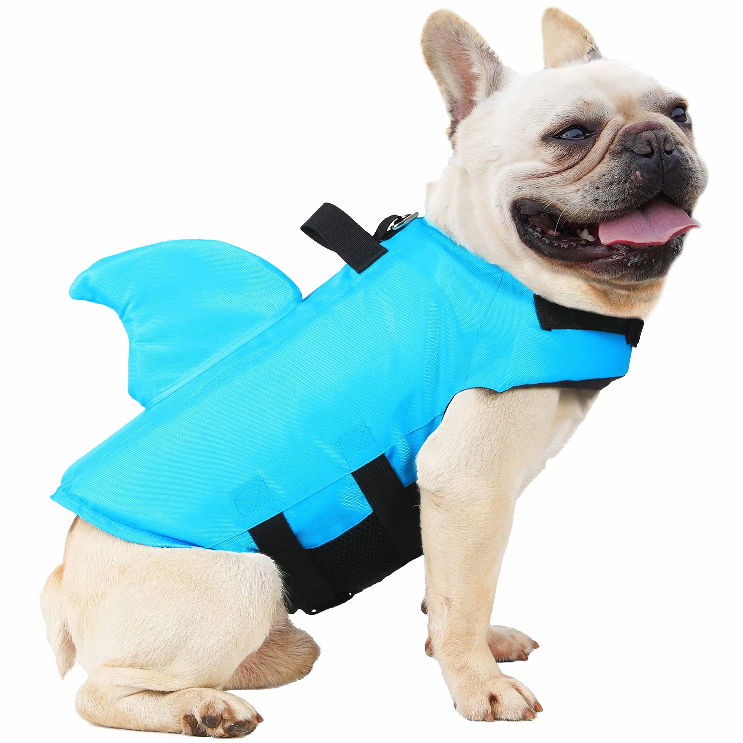 Giubbotto Salvagente Cane Squalo Galleggiante per Cani Piccola Media Taglia Piscina Mare (M, Blu)