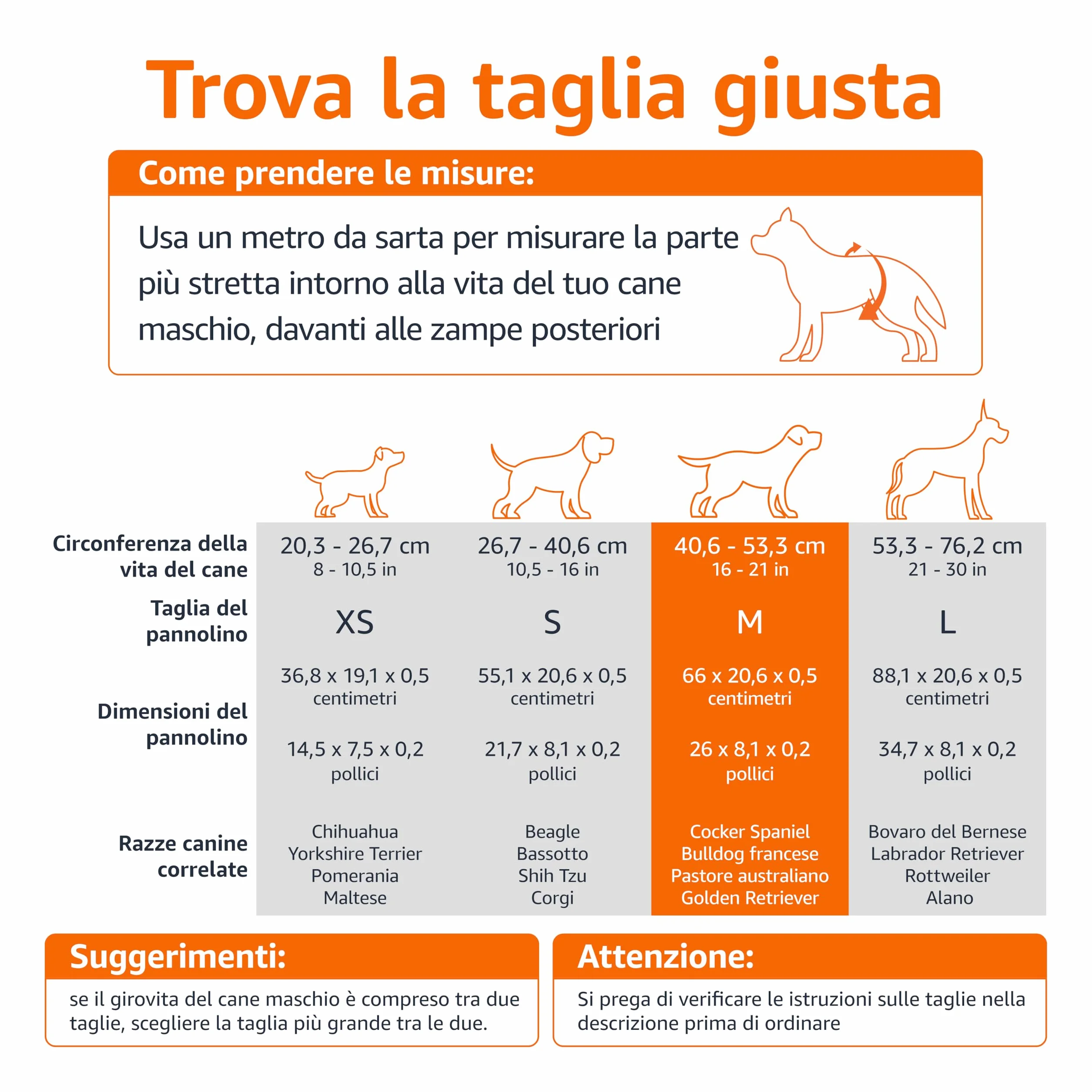 Amazon Basics Pannolini usa e getta per cani maschi, Medio, Bianco, Confezione da 30