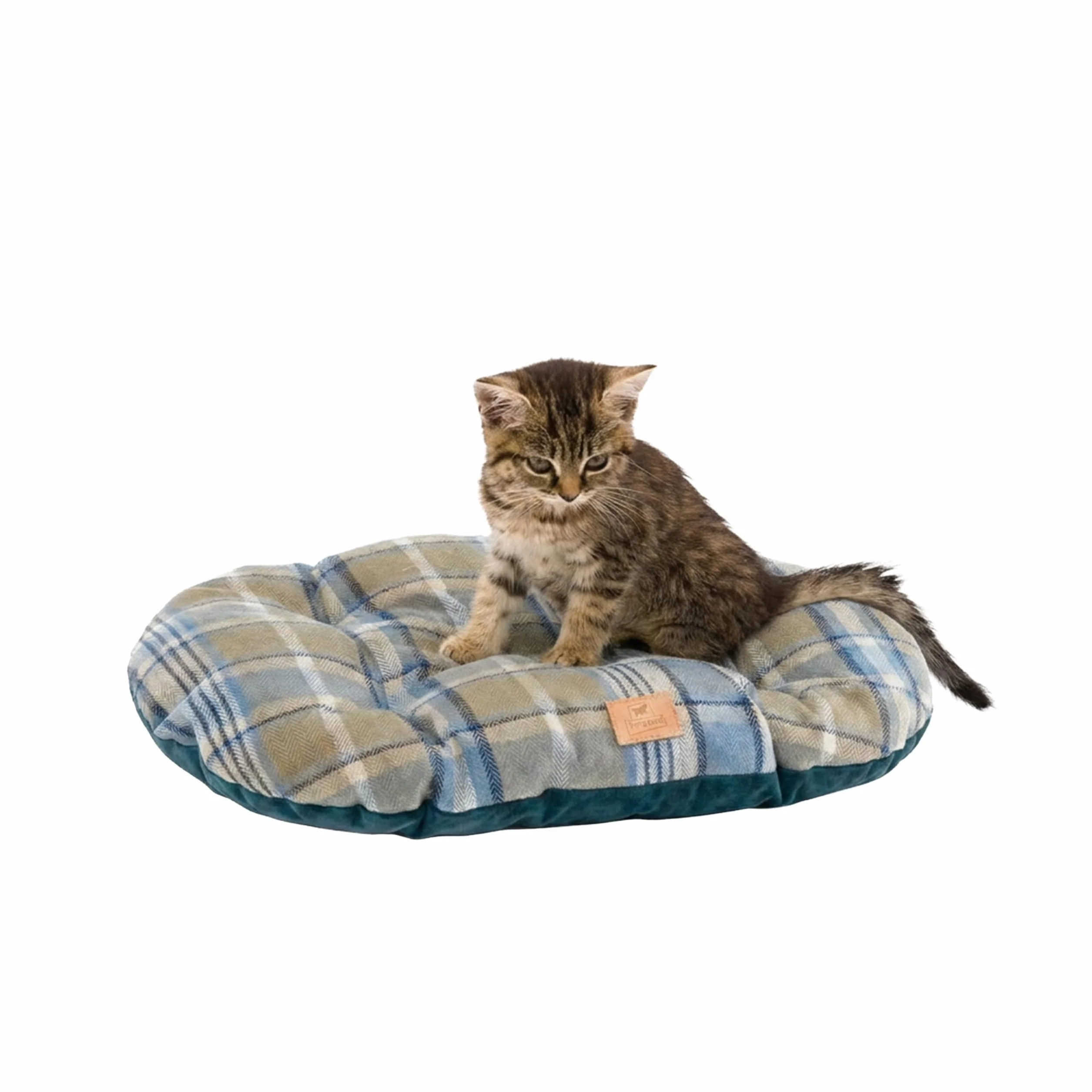 Ferplast Cuscino imbottito per cani e gatti SCOTT 45/2, Double-face, Scozzese, Soffice velluto, Lavabile, Blu