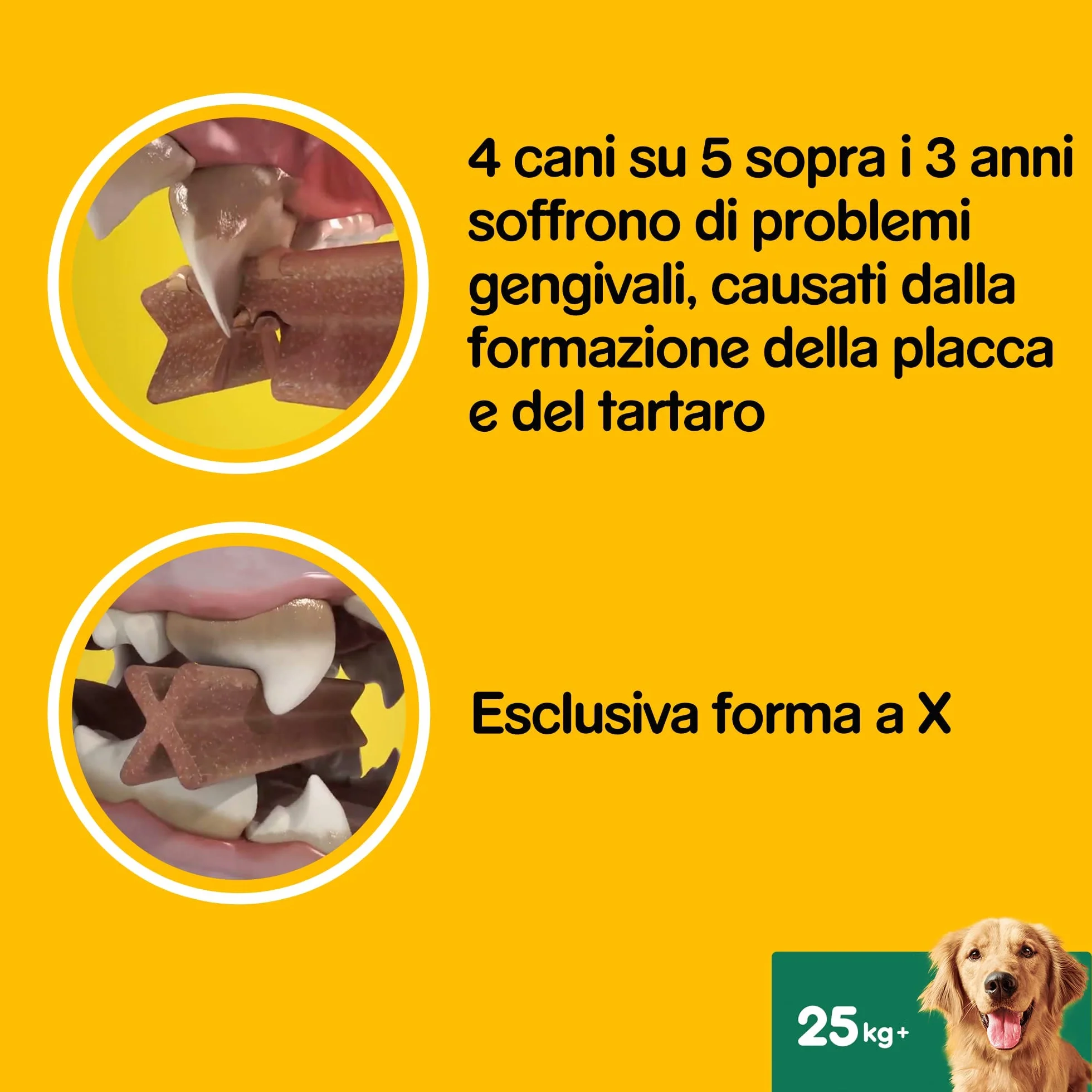 Pedigree Dentastix Snack per la Igiene Orale (Cane Grande +25 kg) 270 g 28 Pezzi - 4 Confezioni da 28 Pezzi (112 Pezzi totali)