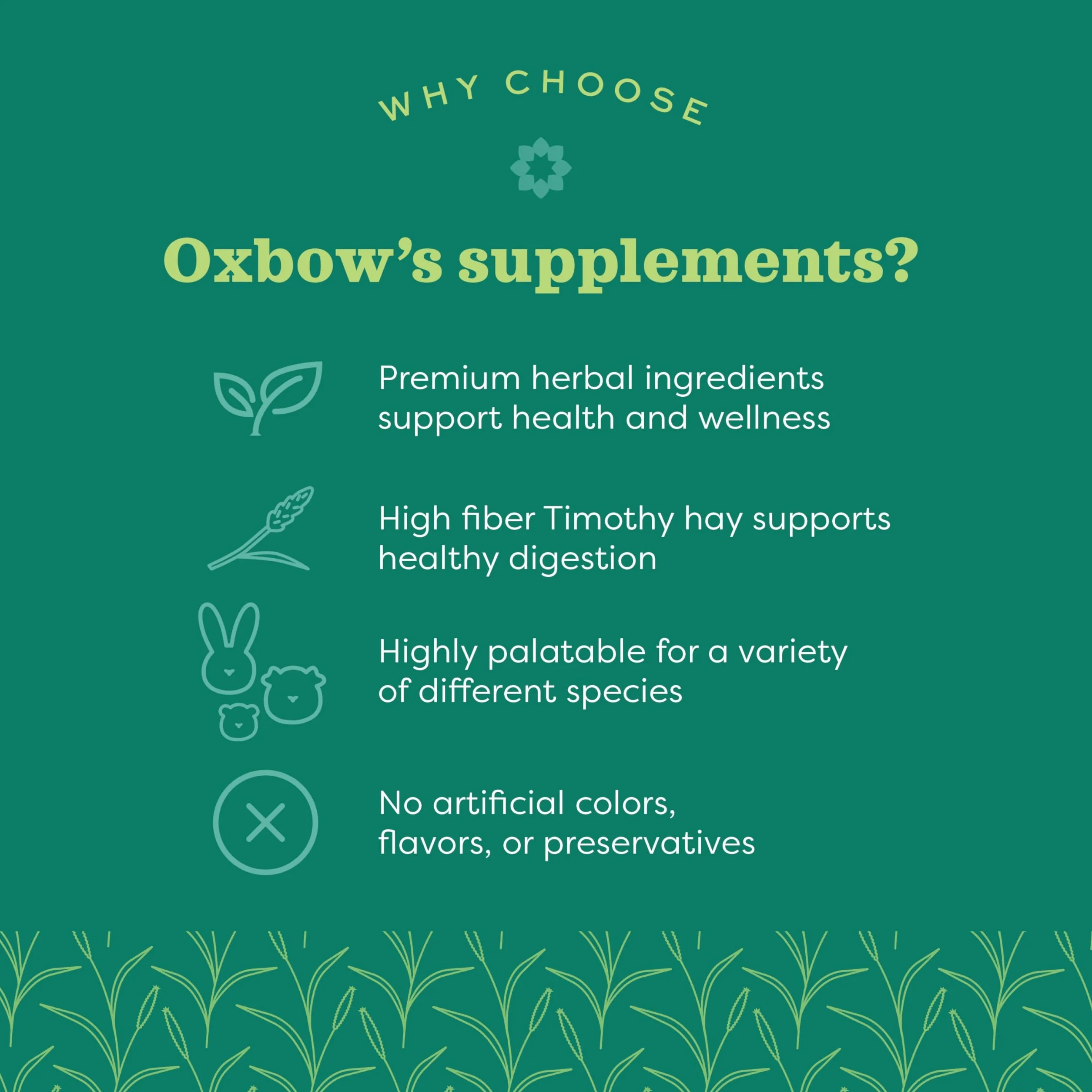 Natural Science Vitamin C Support Supplement