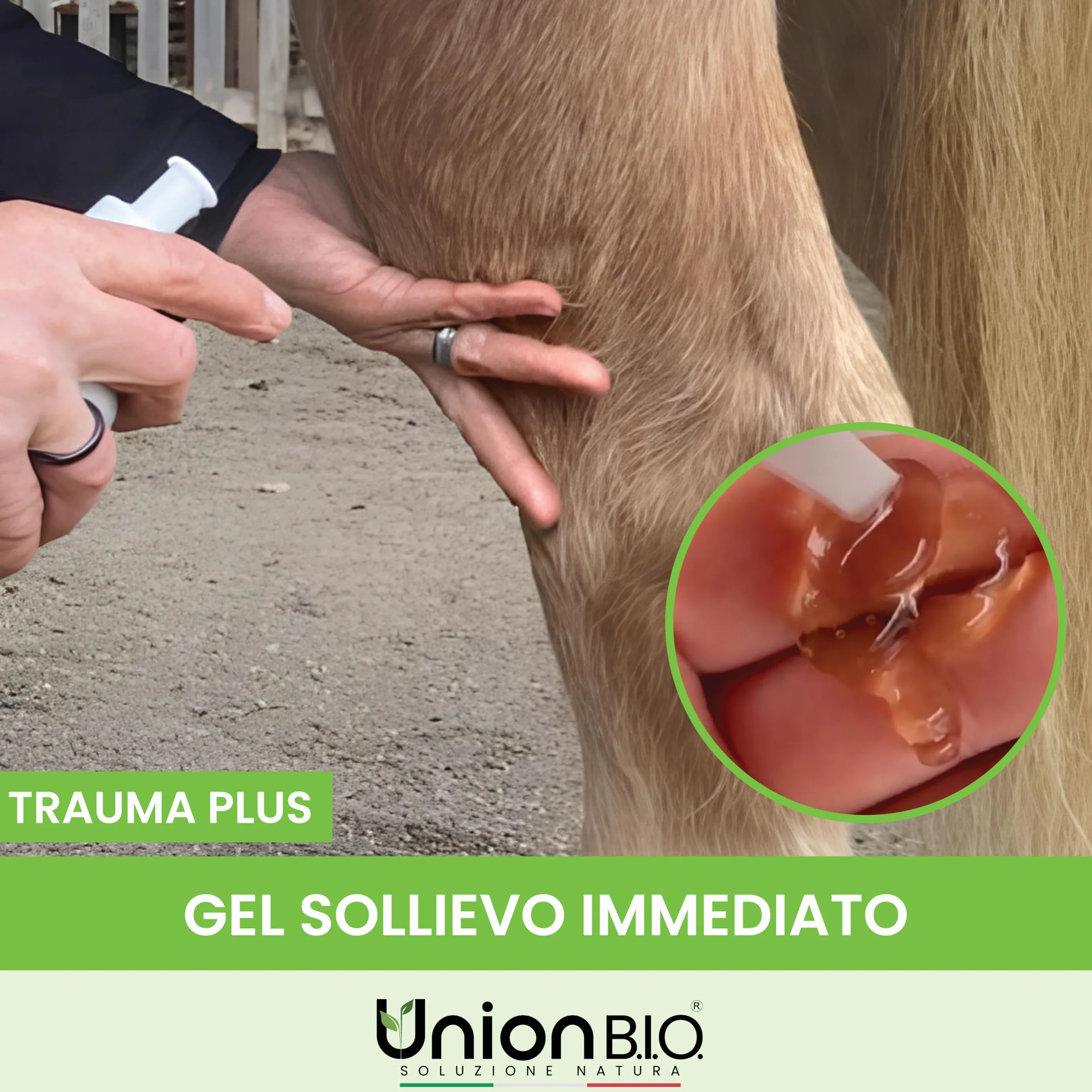 Union B.I.O. Soluzione Natura Traumaplus Gel Arnica Montana e Artiglio del Diavolo 500ml