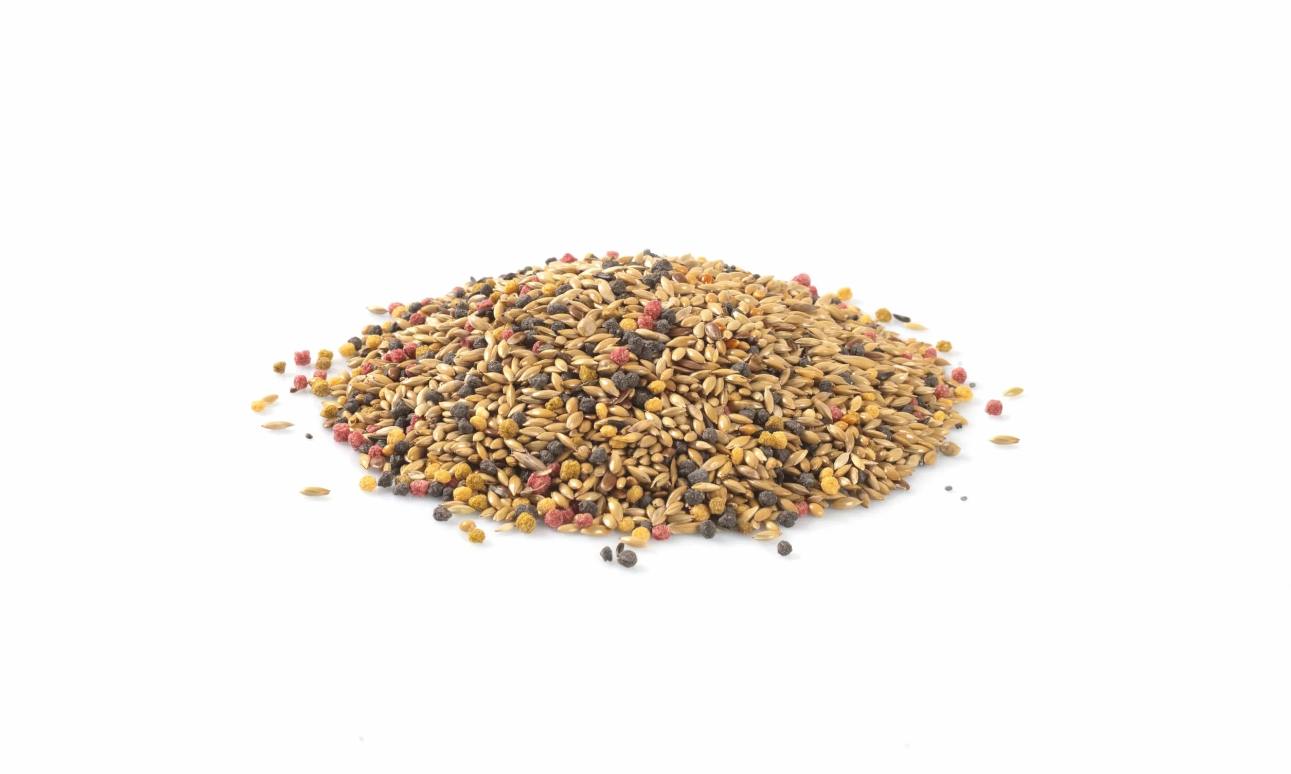 CANARY 700g alimento base per canarini, cereali e semi