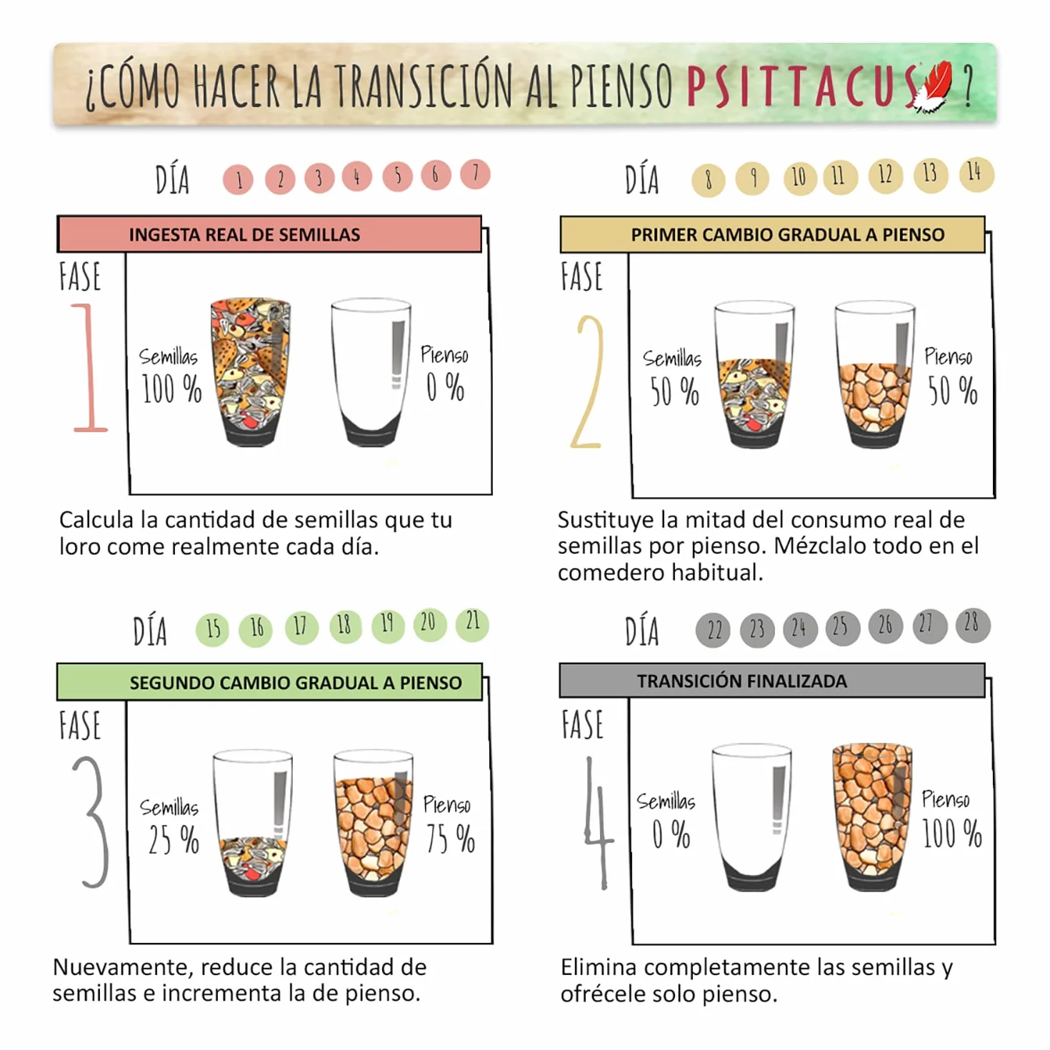 Psittacus Minor 450 g | Mangime completo per Agapornis, Forpus e Pyrrhura | Alimento premium per uccelli, 100% no-GMO