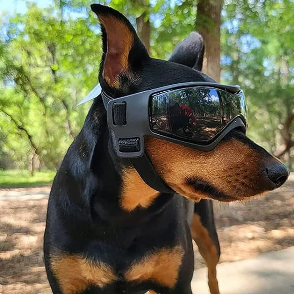 Voarge Occhiali da sole per cani, occhiali protettivi UV, occhiali da sole con fascia elastica regolabile, antivento per cani, occhiali da moto, nero, taglia S