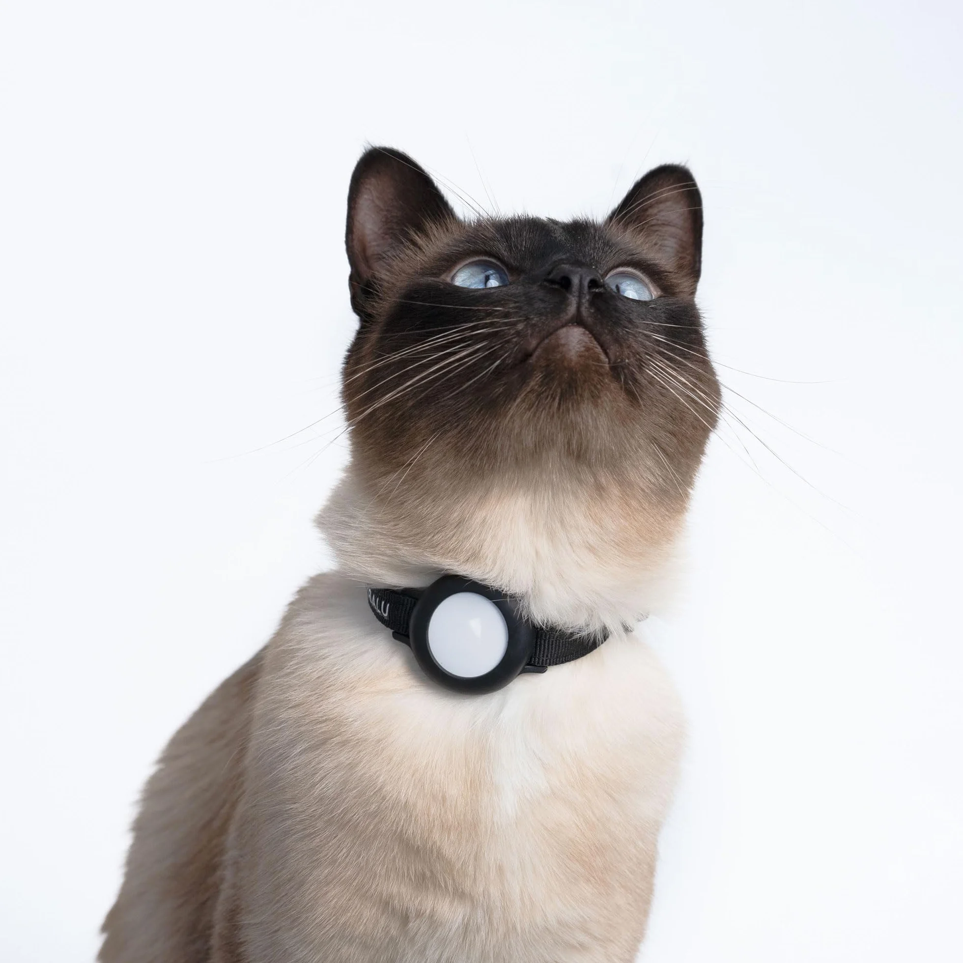 LucyBalu® Dori Collare AirTag antistrappo in nylon per gatti I Nero