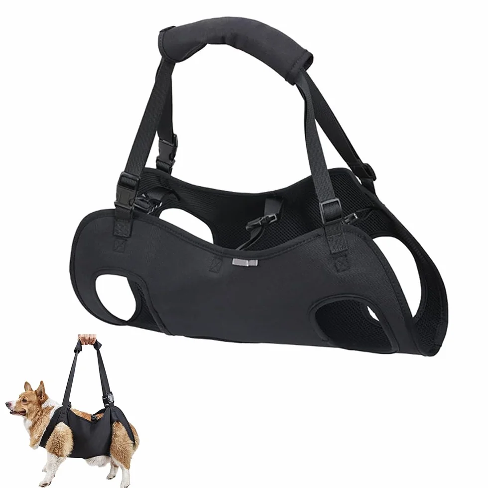 Imbracatura Cani Supporto e Recupero di Zampe Animali Domestici Vestibilità Regolabile per Cani Anziani Affetti da Artrite(M)