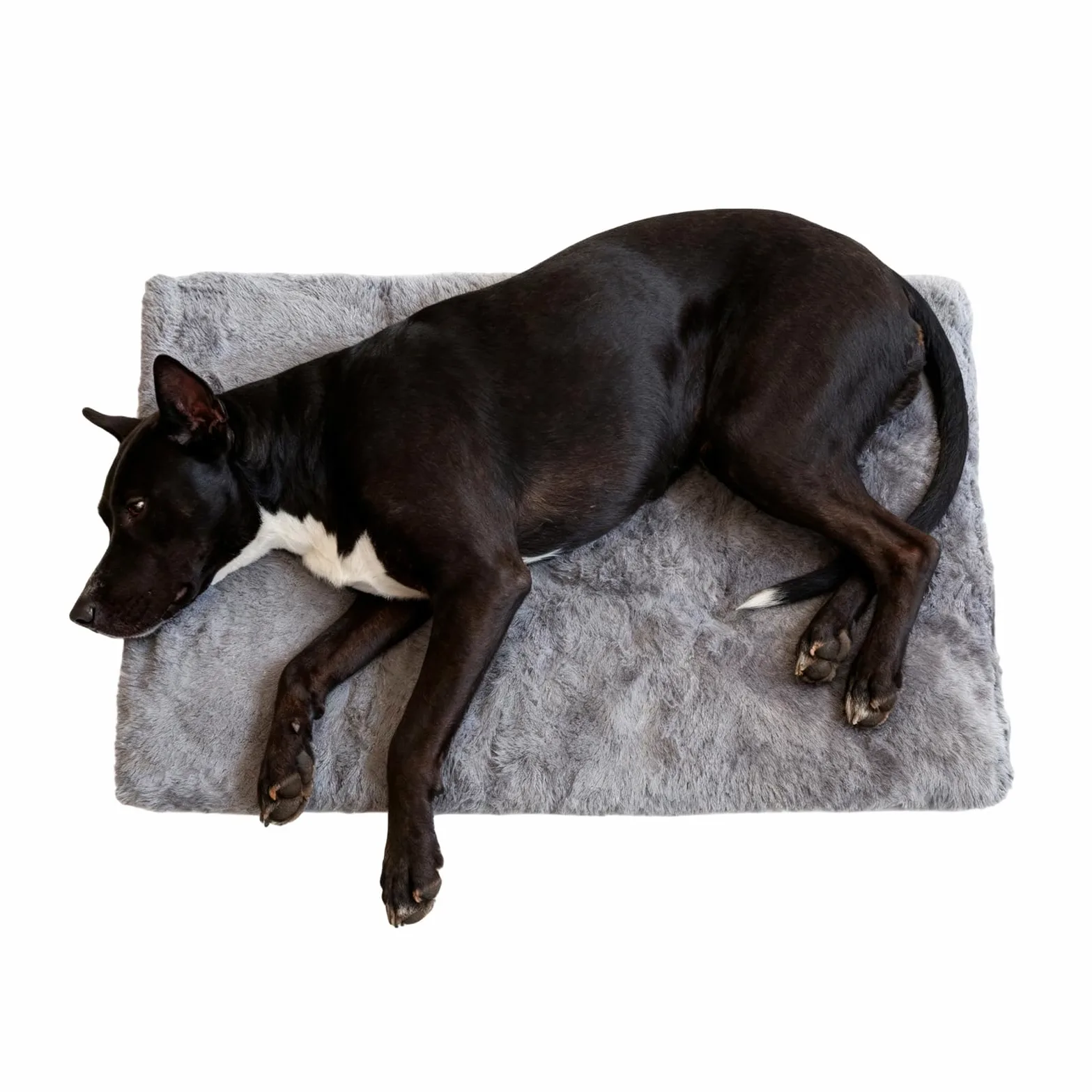 Grande Cuccia Morbida per Cani Comfortevole Grande Cuscino Antiscivolo per | Materassino Da Per Gabbia E Cuccia per Casa Dormitorio Appartamento Soggiorno Balcone