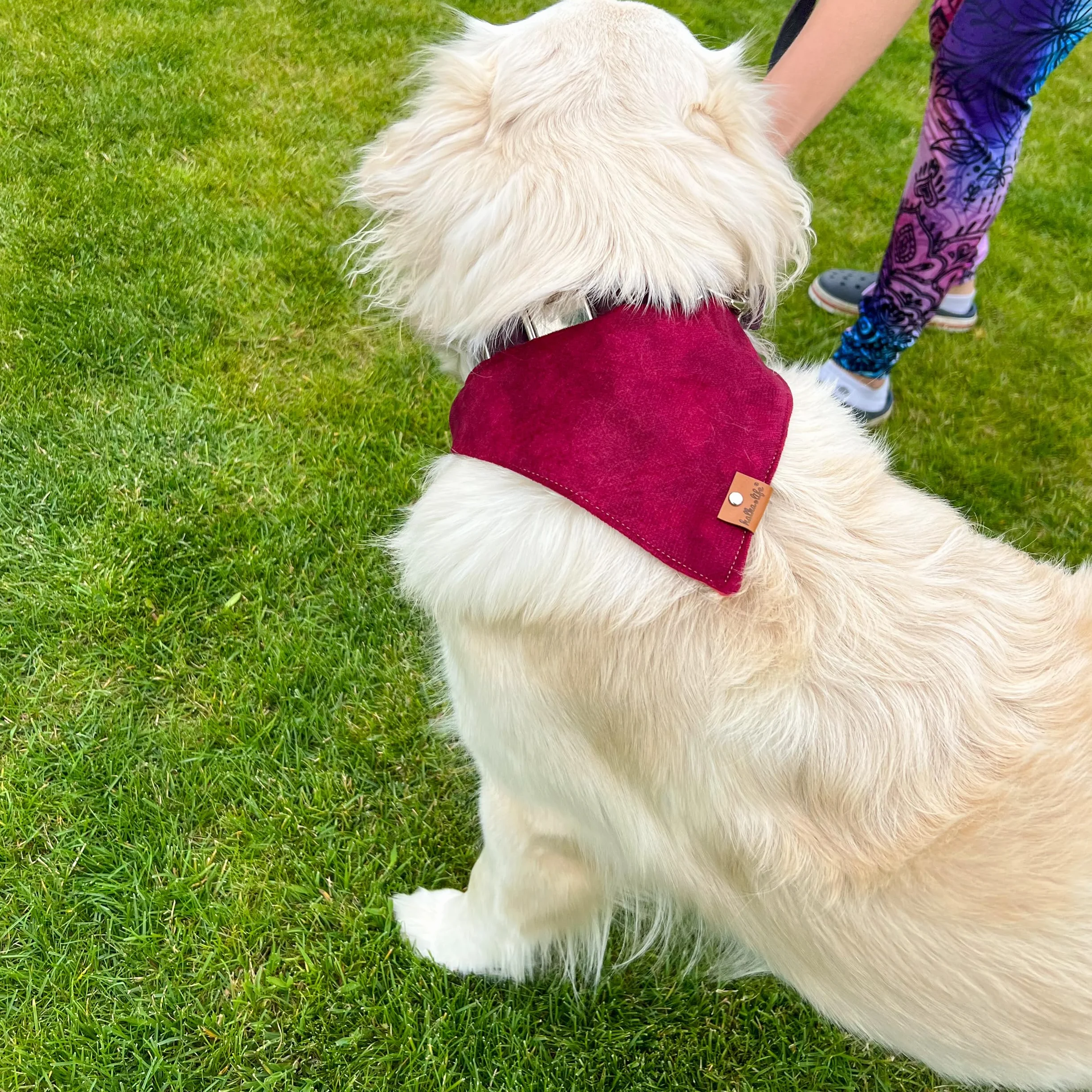 Bandana per cani con chiusura in metallo collare regolabile in morbido velluto Ciliegia L