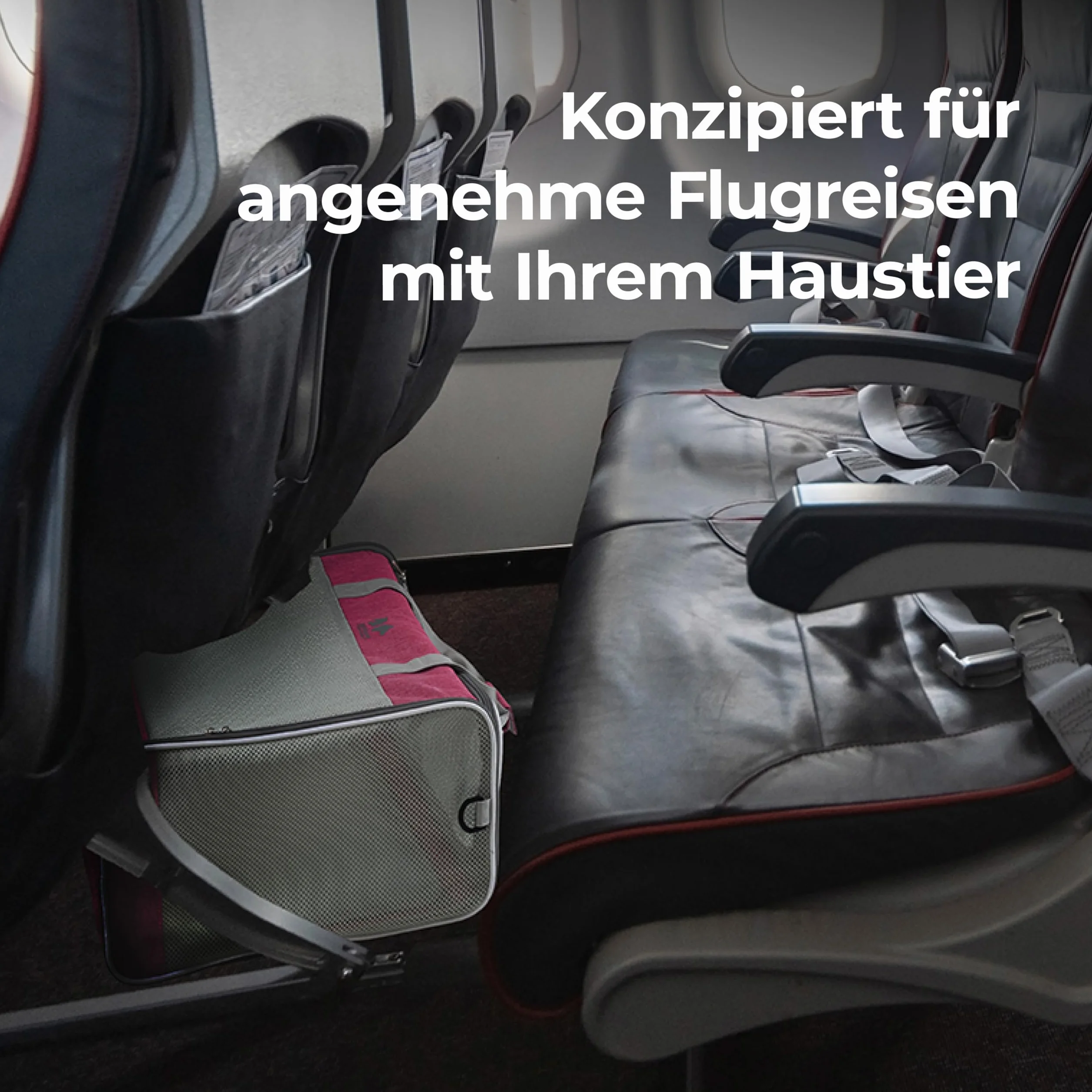Equicani® Borsa per cani 55x40x23 cm, pieghevole, leggera, con tessuto a rete, tracolla e fondo rimovibile per cane e gatto | Borsa per il trasporto di animali domestici per viaggi, auto, aereo (Nero)