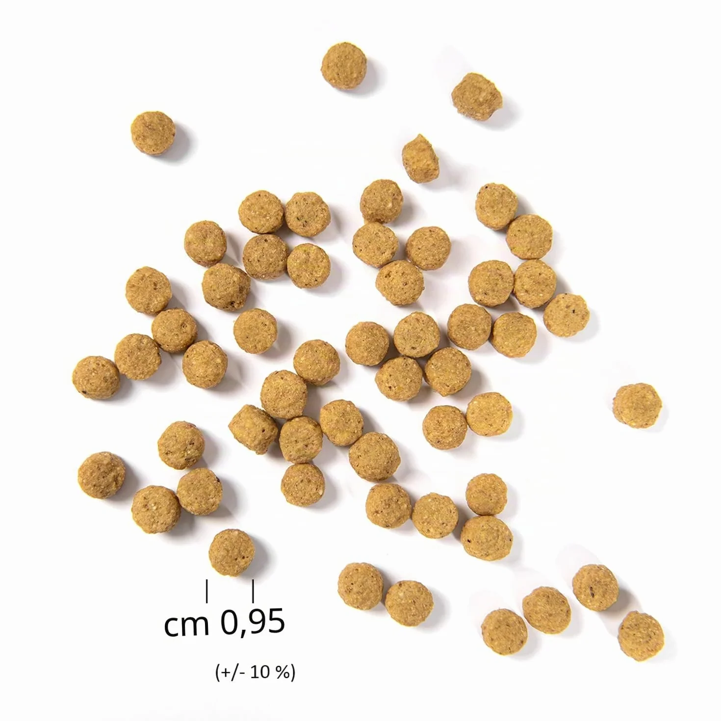 Psittacus Cibo di Mantenimiento Alta Proteina per Pappagalli, 800 g