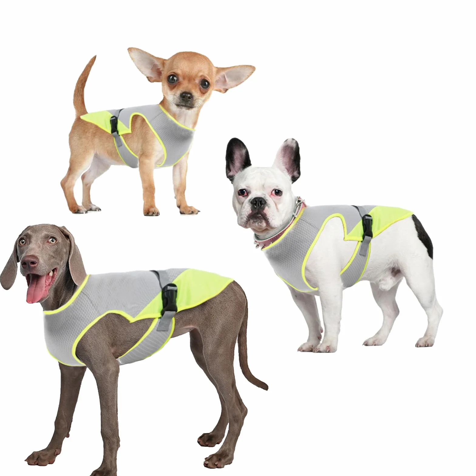 Gilet Rinfrescante per Cani Taglia Media e Grande Giubbotto Raffreddamento Grigio XL