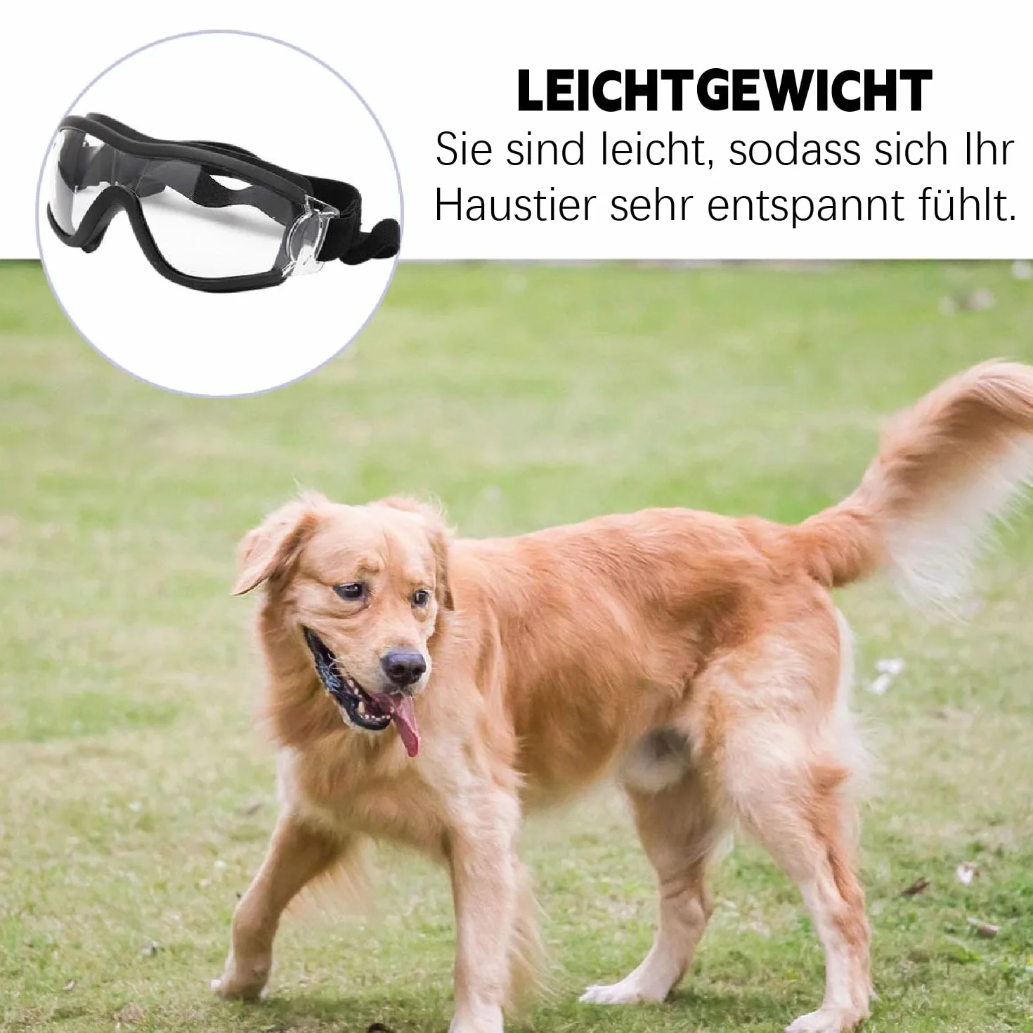 occhiali da sole per cani, occhiali protettivi per cani di taglia grande, occhiali da sole con protezione UV, occhiali da sole regolabili per cani, occhiali protettivi per cani di taglia