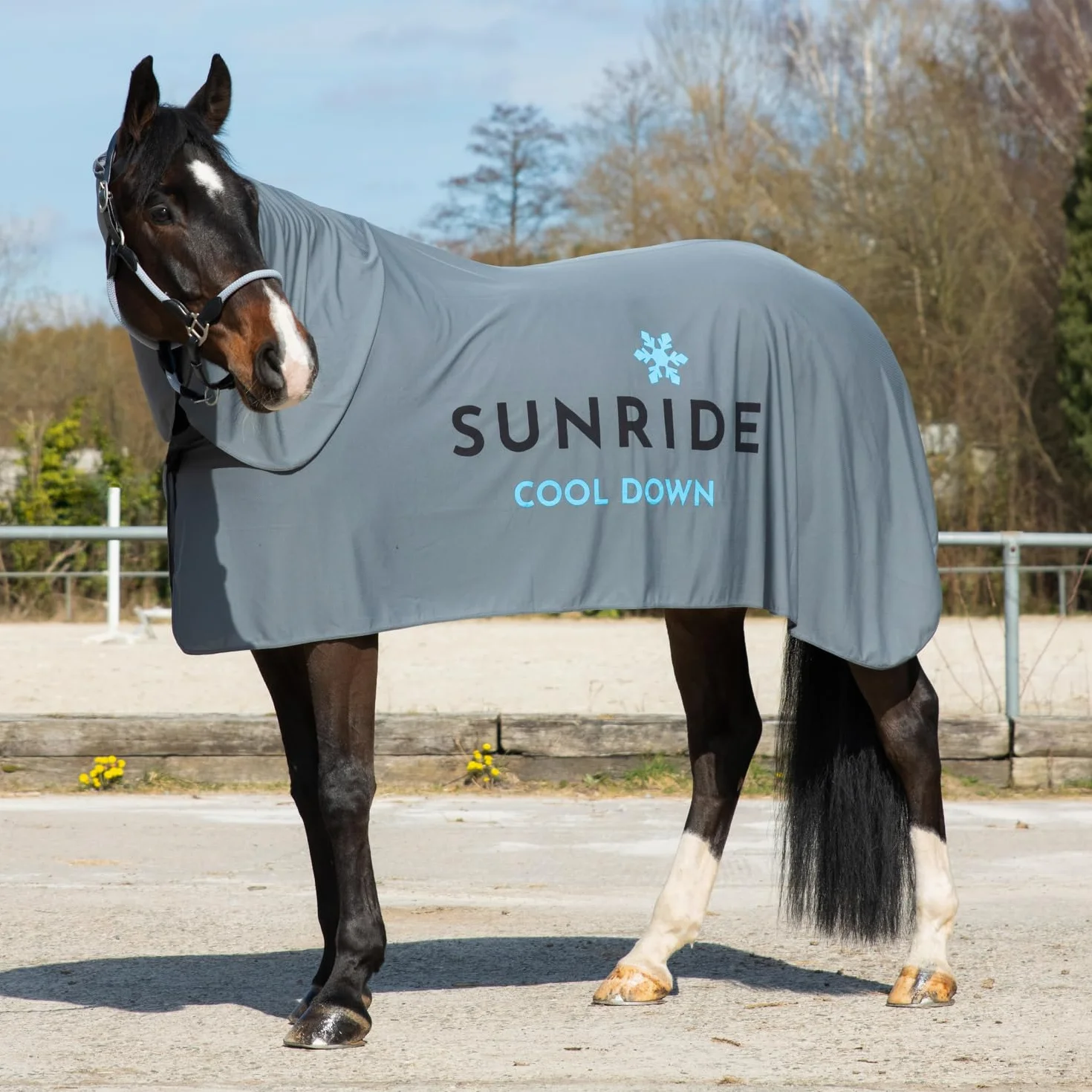SUNRIDE Coperta rinfrescante per cavalli (Cool Down) (set da 3 pezzi) – con copricollo e panno – effetto rinfrescante immediato tramite raffreddamento evaporativo – sostenibile – grigio (145 cm)
