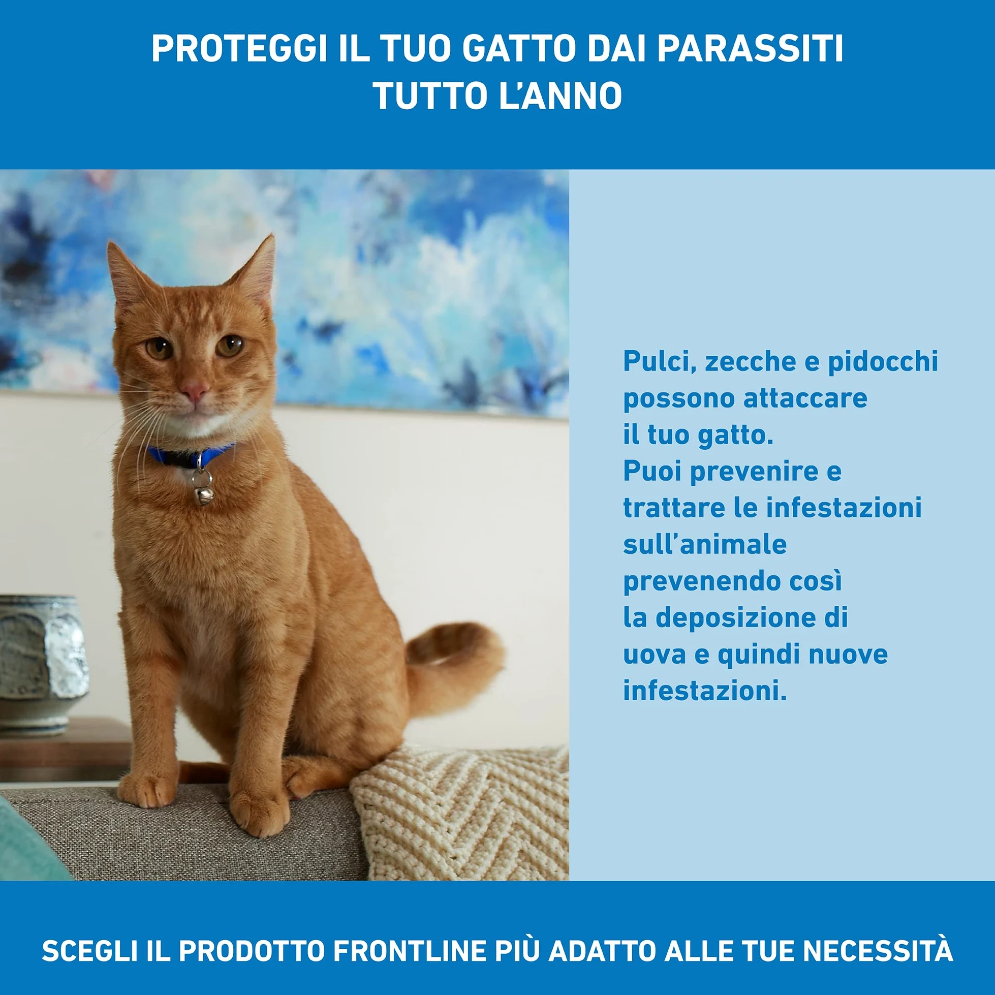 FRONTLINE Spot On, 4 e 4 Pipette, Gatto, Antiparassitario per Gatti e Gattini di Lunga Durata, Protegge da Zecche, Pulci e Pidocchi, Antipulci in Confezione da 8 Pipette da 0.5 ml