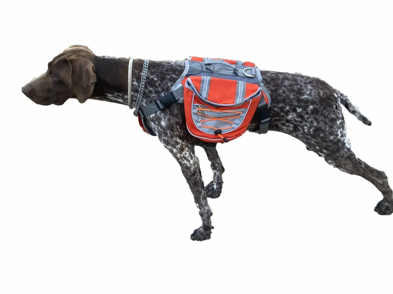 Zaino bisaccia per cani regolabile per trekking, imbracatura con manico per viaggi. Doppia tasca grande per accessori. Sicurezza e striscia riflettente, traspirante comoda leggera.