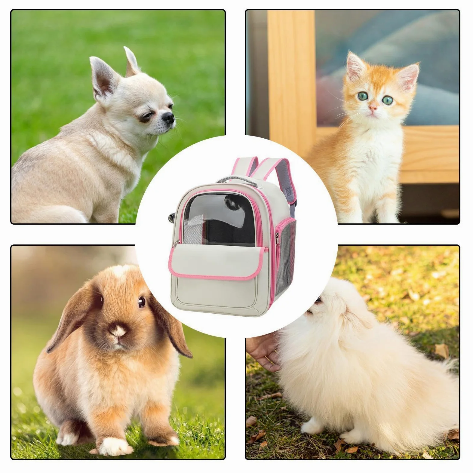 Trasportini per animali con zaino a bolle, Borsa per zaino per gatti Zaino | Zaino portaoggetti Spazioso, confortevole e leggero, trasportino per cani di piccola