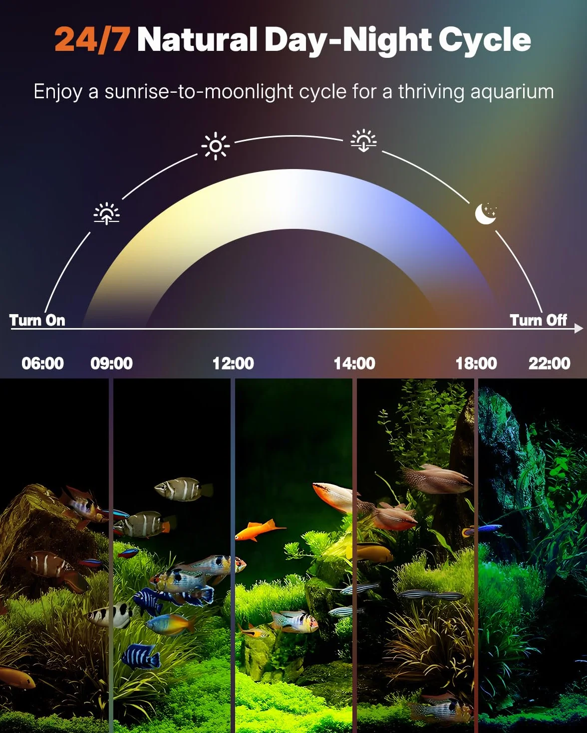 Pawfly 30cm LED Acquario Luce per vasca per pesci 24/7 con spettro completo di luci brillanti bianche blu rosse verdi LED multicolore con modalità D/N Effetti monocolore Timer e luminosità regolabile