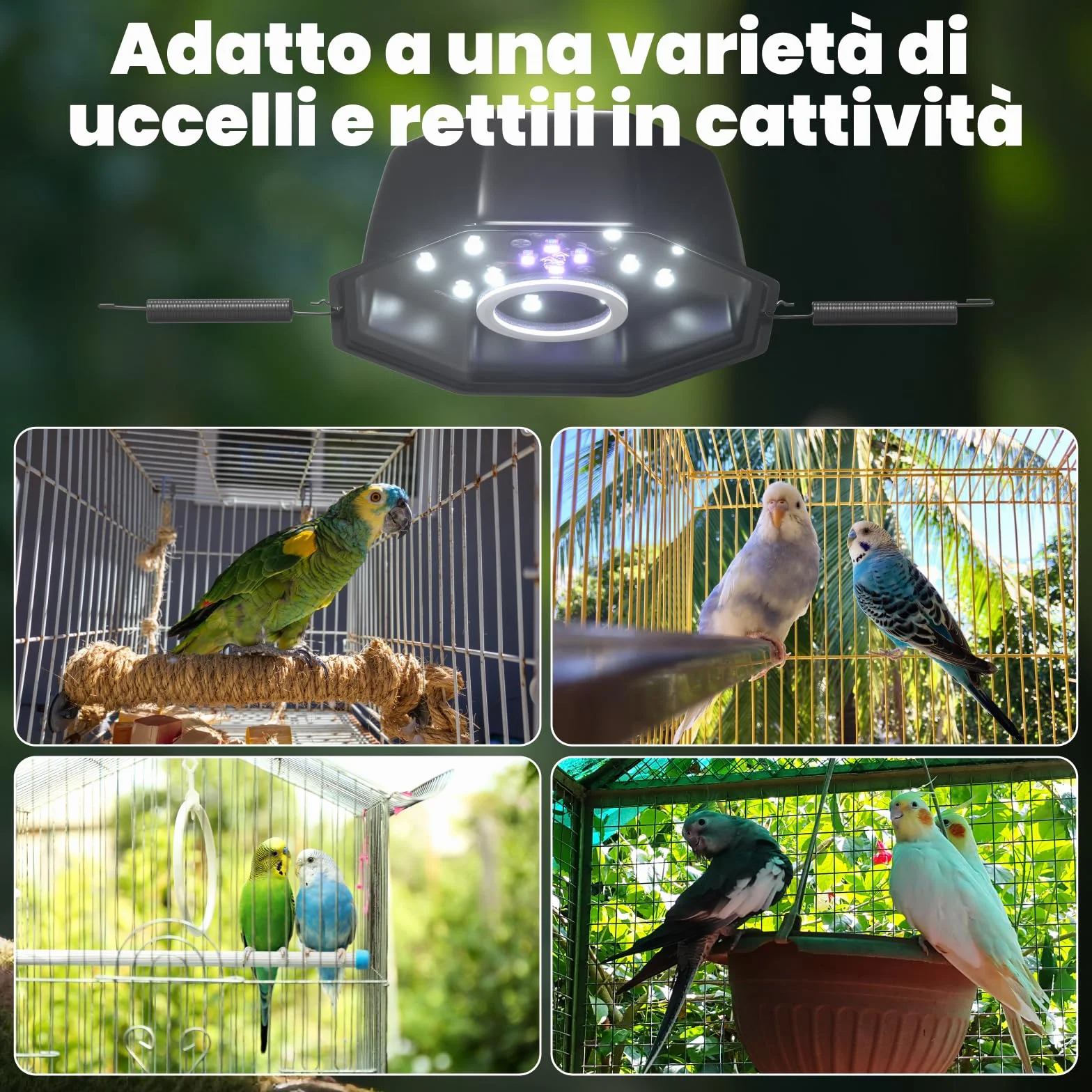 GlowUp Lampada Uccelli UVB 2.4 10W LED Spettro Completo Dimmabile per Gabbia Pappagalli
