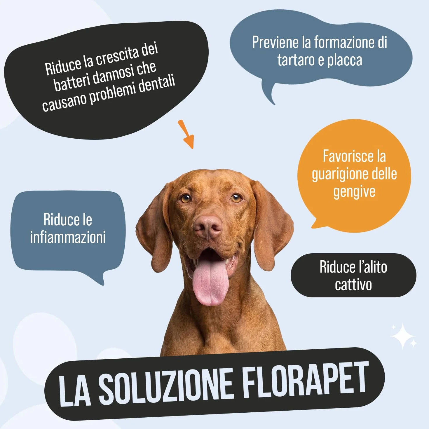 Pulizia Denti Cane in Polvere, Rimuovi Tartaro Denti, con Ascophyllum Nodosum e Pappa Reale, per Alito Cattivo e Igiene Orale, 150gr per Supporto alle Gengive e Alito Fresco