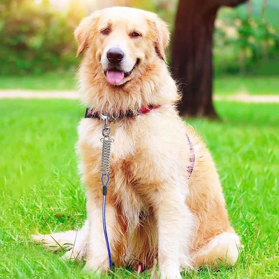 Cavo per legare cani da 5 m, resistente con molla, nessun groviglio, cavo per legare il palo del cane, antiruggine, con ganci in metallo, per cortile, campeggio e attività all'aperto, per cani di