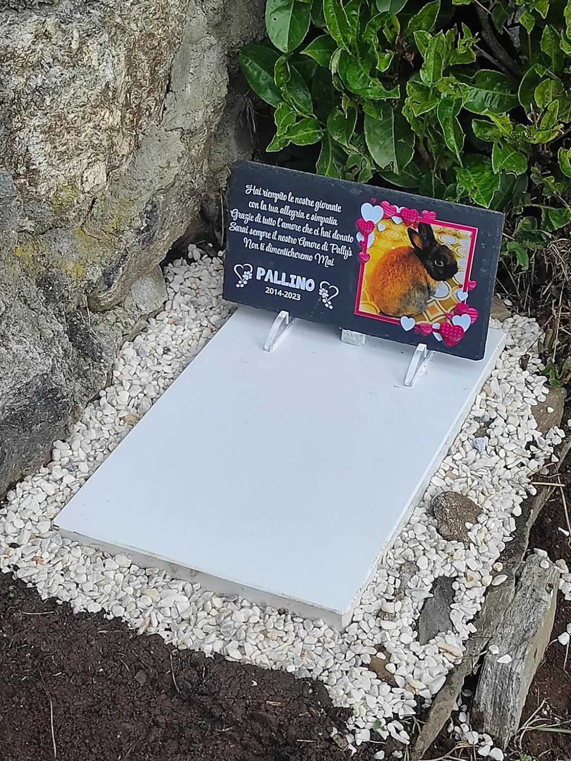 Lapide commemorativa per Cane e Gatto personalizzabile in Pietra con Foto Rettangolare 32,5x17,6cm