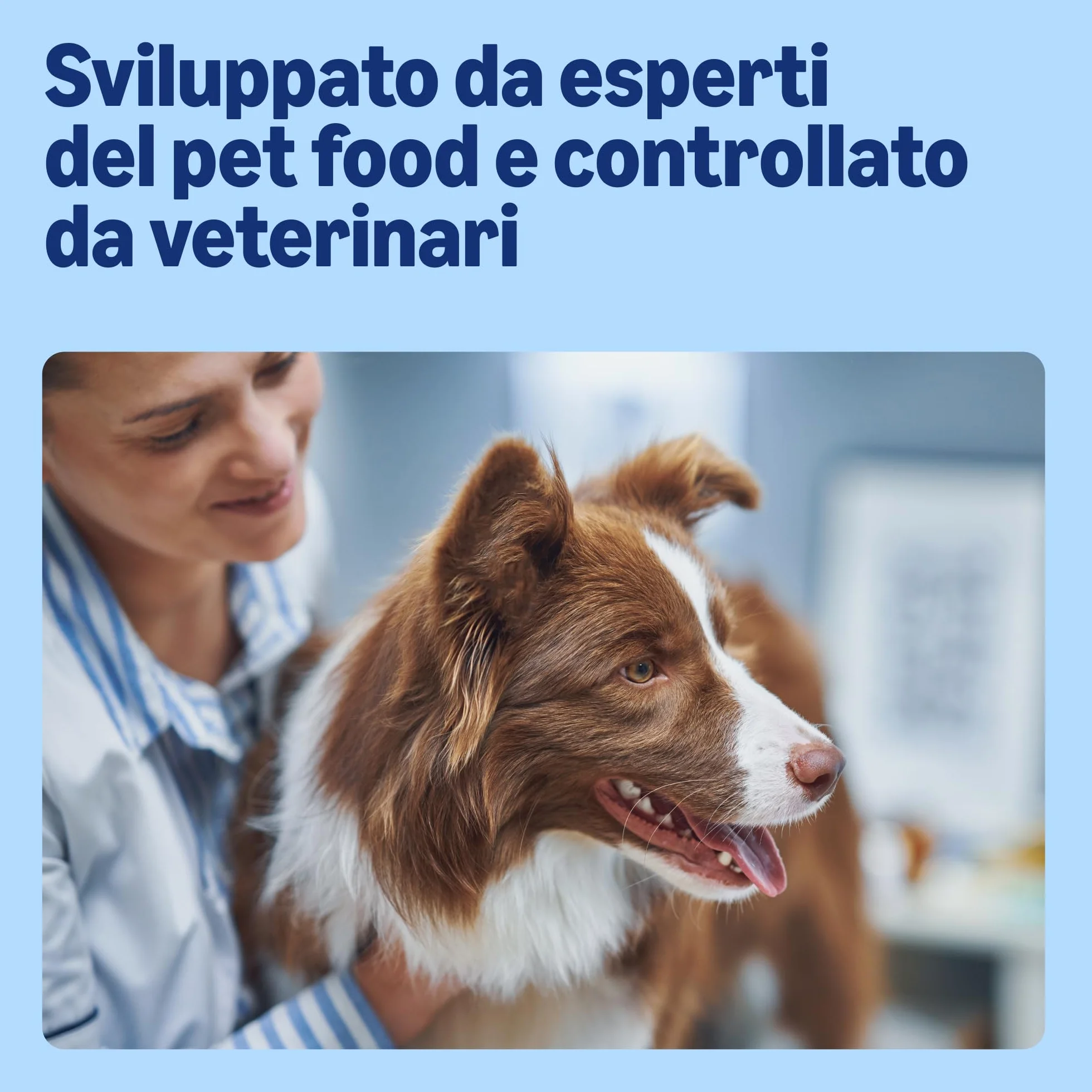 Amazon Alimento secco completo per cani adulti ricco di manzo con piselli 20 kg
