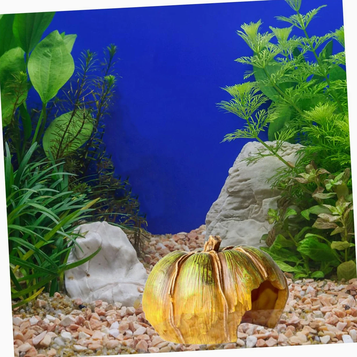 Alipis Grotta Decorativa Per Acquario Zucca Accessorio Per Acquario in Resina Decorazione e Per Pesci e Gamberetti Paesaggistico Per Acquari Piccoli e Compatti