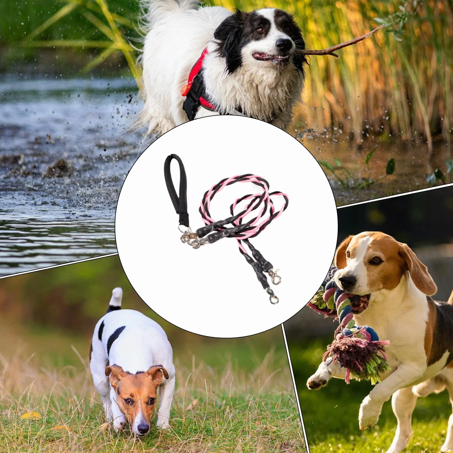 Corde per Cani - Guinzaglio Doppio per Passeggiate con Animali Domestici | Accessori per Animali Domestici Resistente Durevole Comodo per Spiaggia Addestramento Sicurezza Migliorata