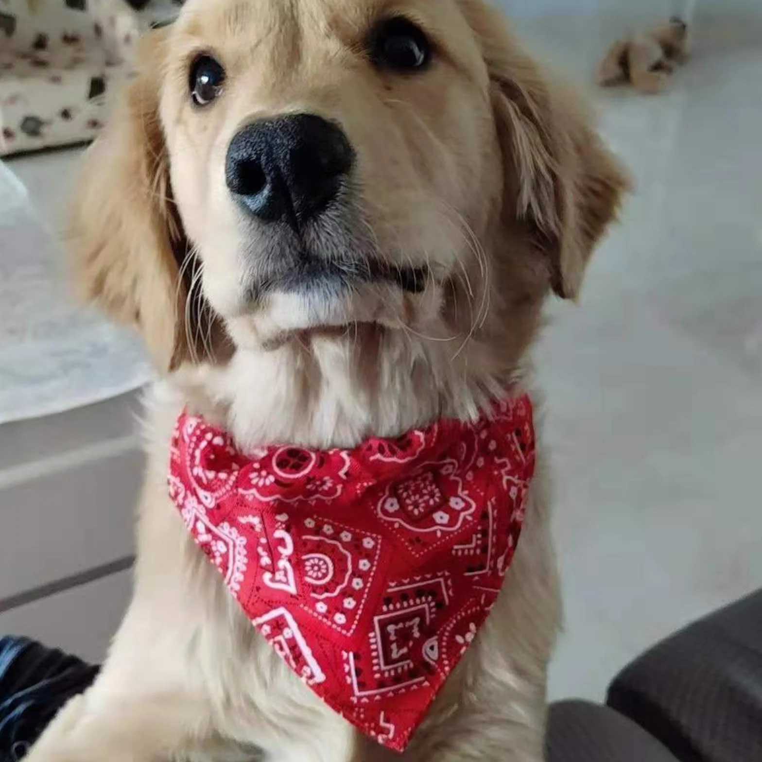 Bavaglini a bandana per cani regolabili stile bohémien taglia piccola media grande rosso M