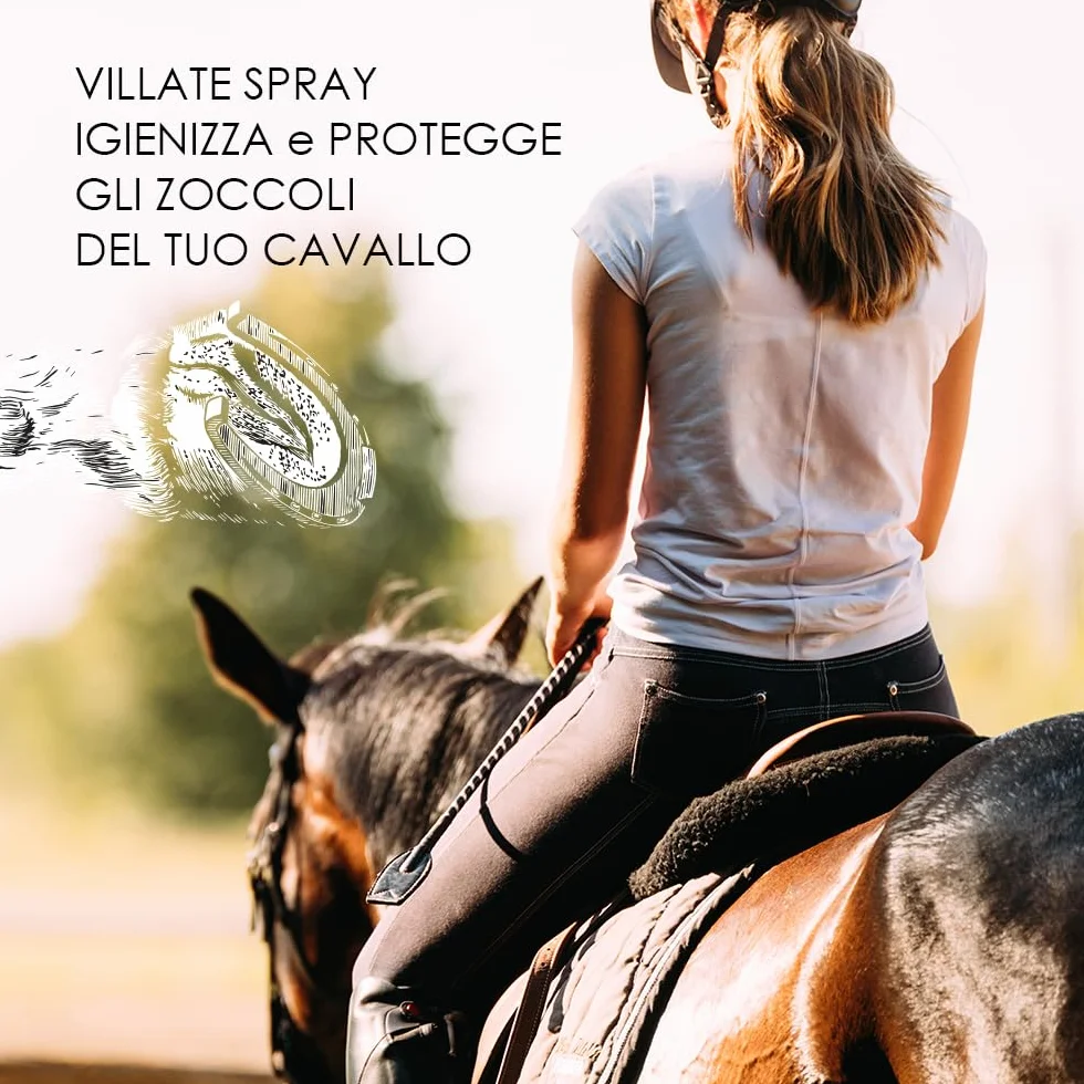 Villate Spray Lozione Detergente Igenizzante per Pulizia e Protezione del Fettone 500ml