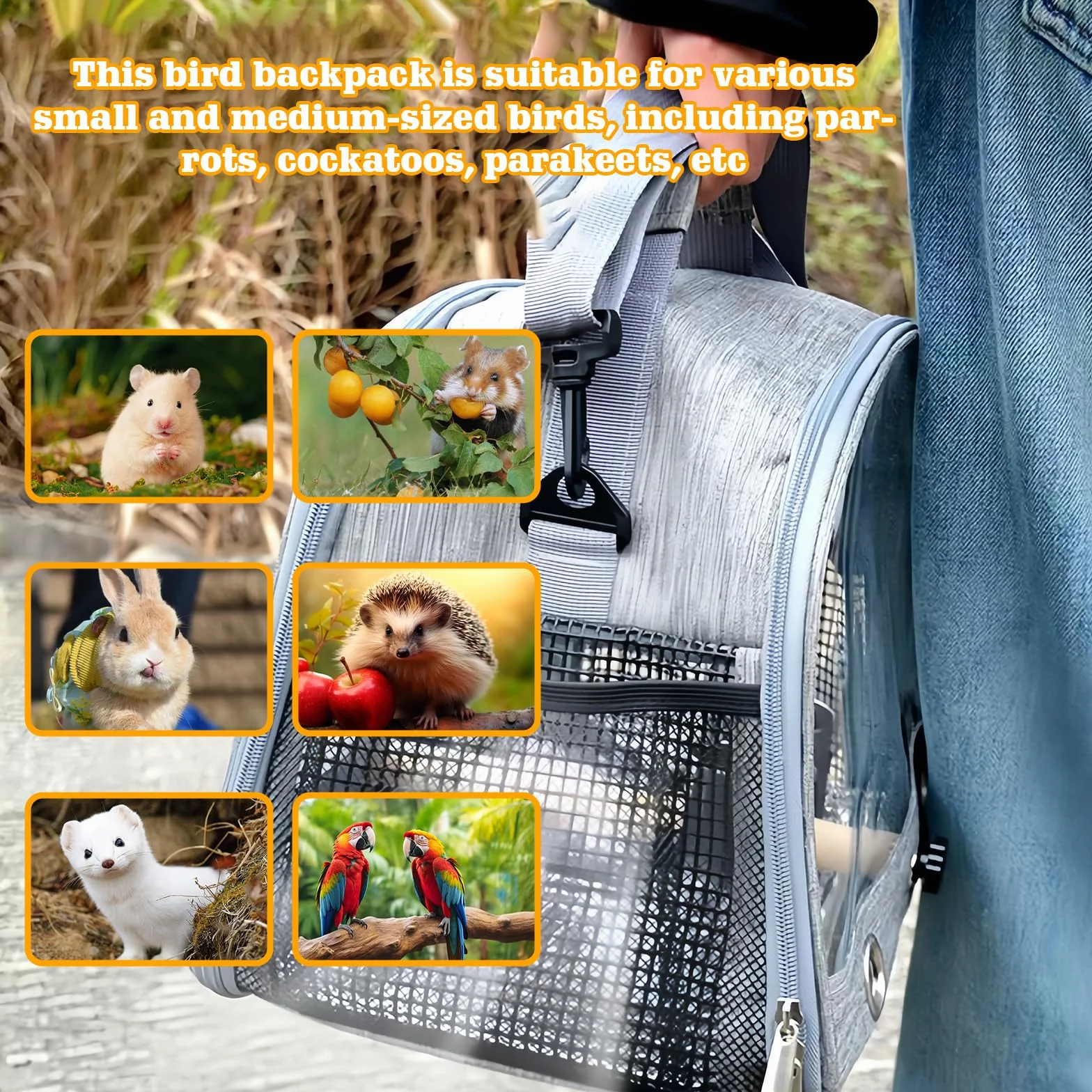 Bordeag Borsa Da Trasporto per Uccelli, Borsa Da Viaggio per Pappagallo, Gabbia Da Viaggio Portatile Zaino Uccelli Zaino Con Posatoio In Piedi Vassoio In Acciaio Inox Per Pappagallo Parrocchetto