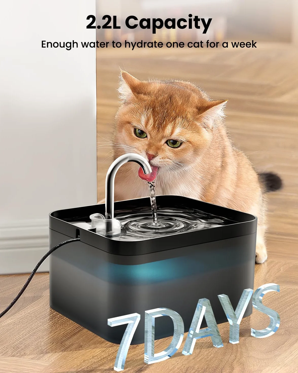 PawPoll Fontanella per Gatti, 2,2L Fontana per Gatti, Ultra Silenzioso, Facile da Pulire, Fontanella Gatto con LED e Filtro a Carbone Attivo, Adatto a Più Animali Domestici