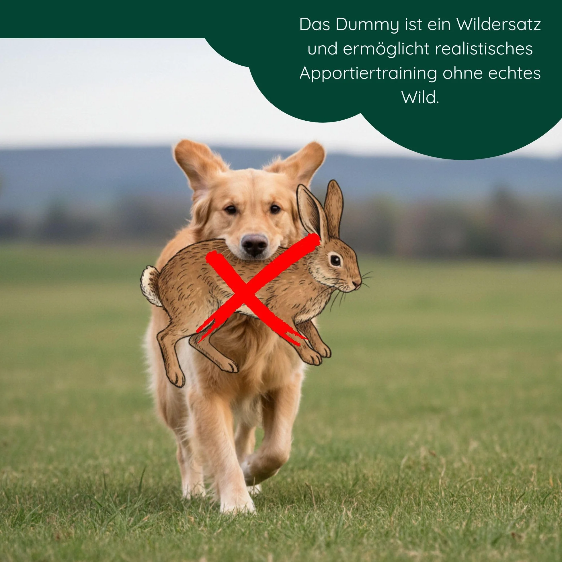 Romneys Junior Dummy 250 g – per l'allenamento di cani e rifugi, galleggiante (arancione + verde)