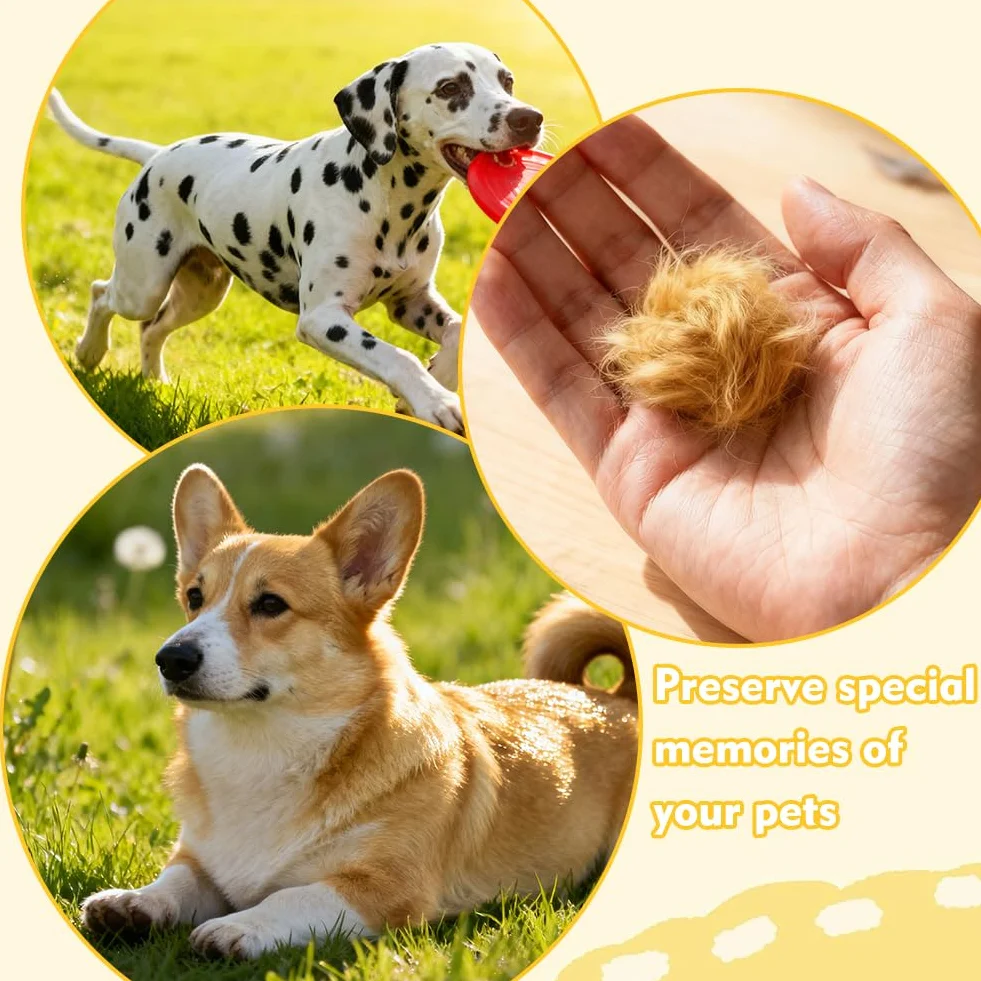 10 Pezzi Portachiavi Ricordo Peli di Cane - Figurina 3D Cane Trasparente, Capsula Conservazione Peli Animale, Regalo Creativo per Amatori di Cani Gatti, Ricordo Perdita Animale Domestico
