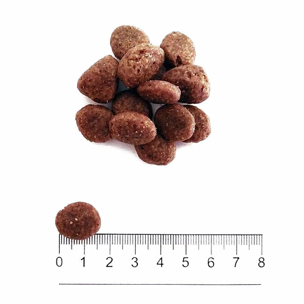 Prolife Grain Free Adult Sensitive Medium/Large al Maiale e Patate 10 kg
