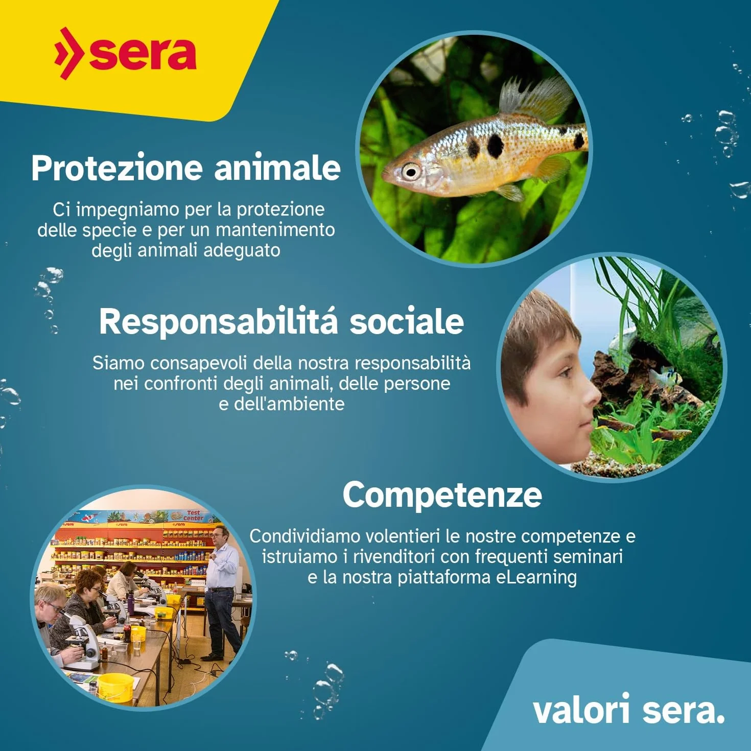 Sera GH Test 15ml | per aquario e laghetto | Misura Durezza Totale (Calcio & Magnesio) | Kit Analisi Acqua con Cuvetta, Siringa, Scheda di Valutazione | Precisione Fino a 420 °DGH per Pesci