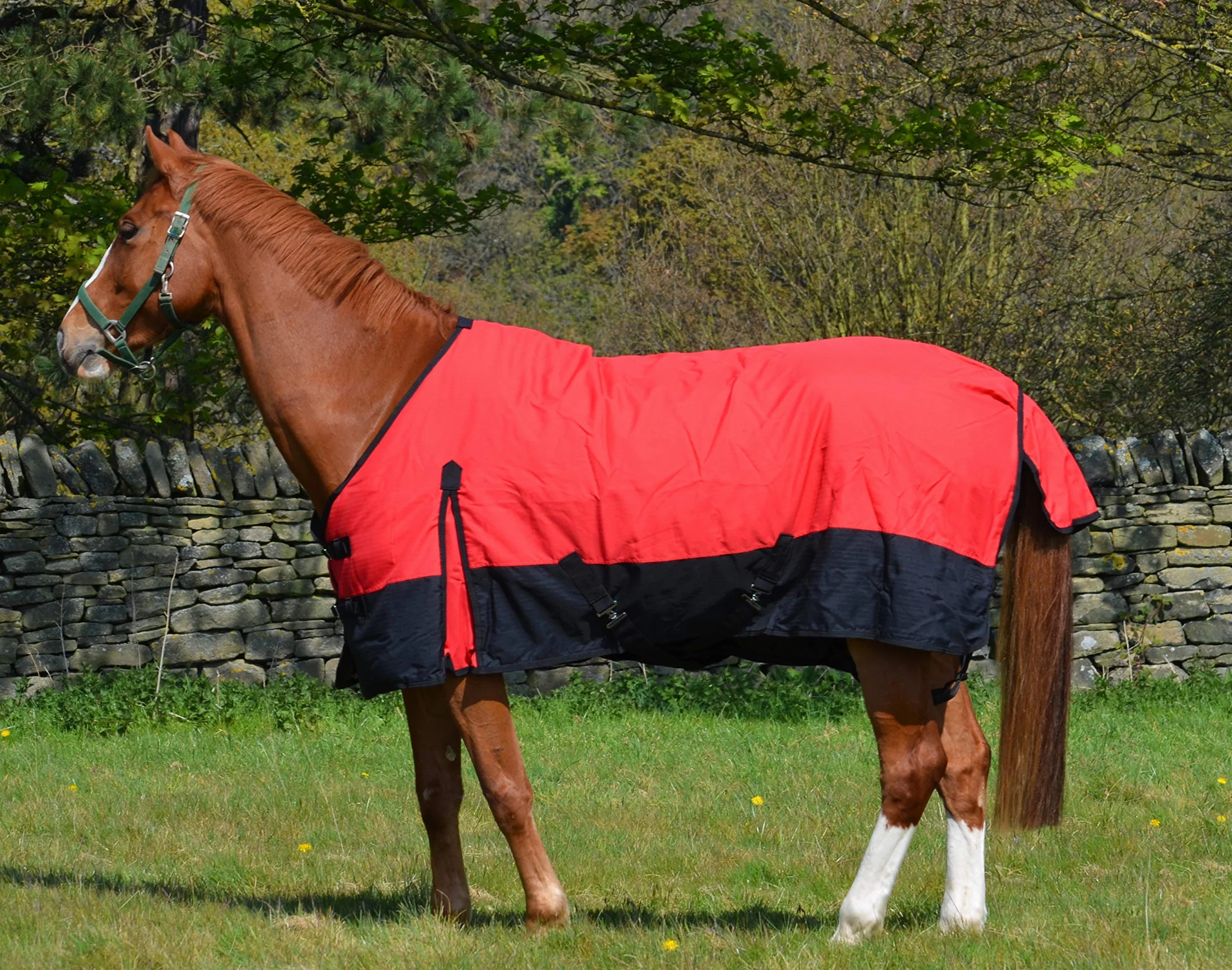 Coperta leggera impermeabile per cavallo 600d, imbottitura 100 g, collo standard – 1,8 m