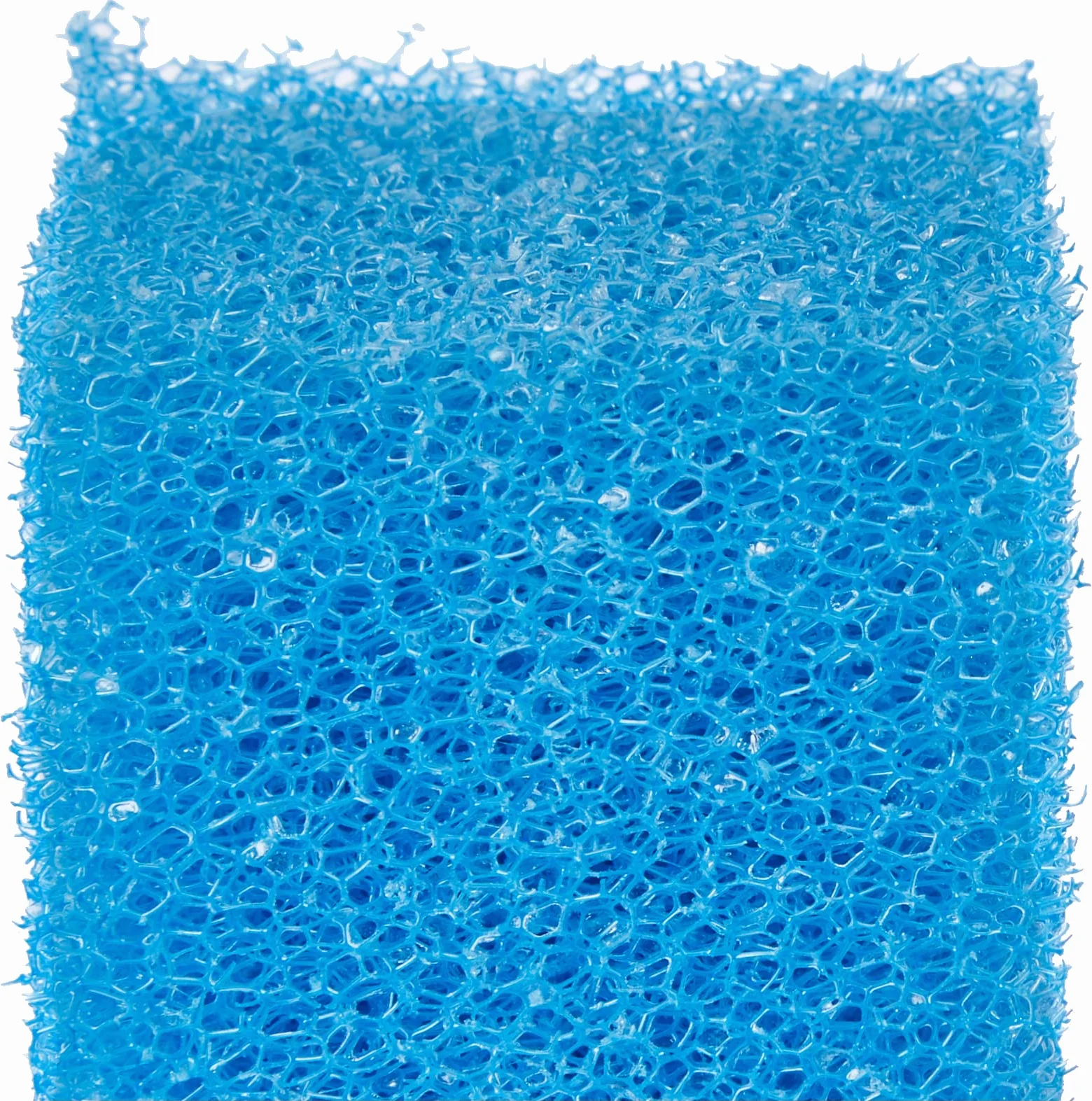 Filtri e pompe per acquari Ferplast BLUMEC 05 spugne ricambio per filtro interno