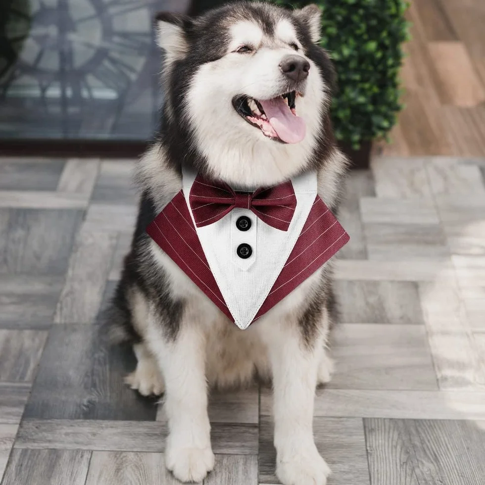 DONGKER Bandana da Smoking per Cani, Collare Regolabile per Cane Gatti Piccola Media Grande Matrimonio