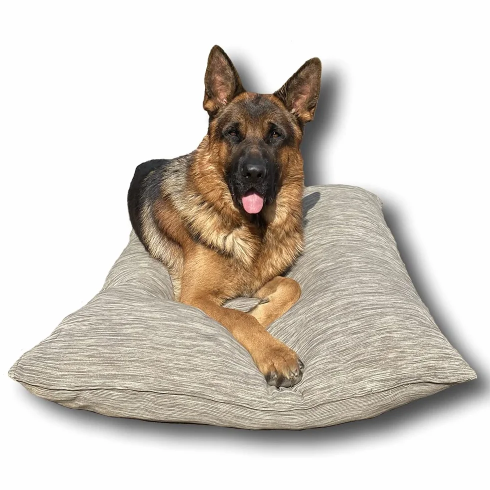 Dorian Home - Cuccia Cane Interno Taglia Grande, Media e Piccola - Cuscino Cane e Gatto Lavabile senza Sfoderare, Extra Imbottito e Morbido - Cuscino per Cani e Gatti Antimacchia Resistente ai Graffi