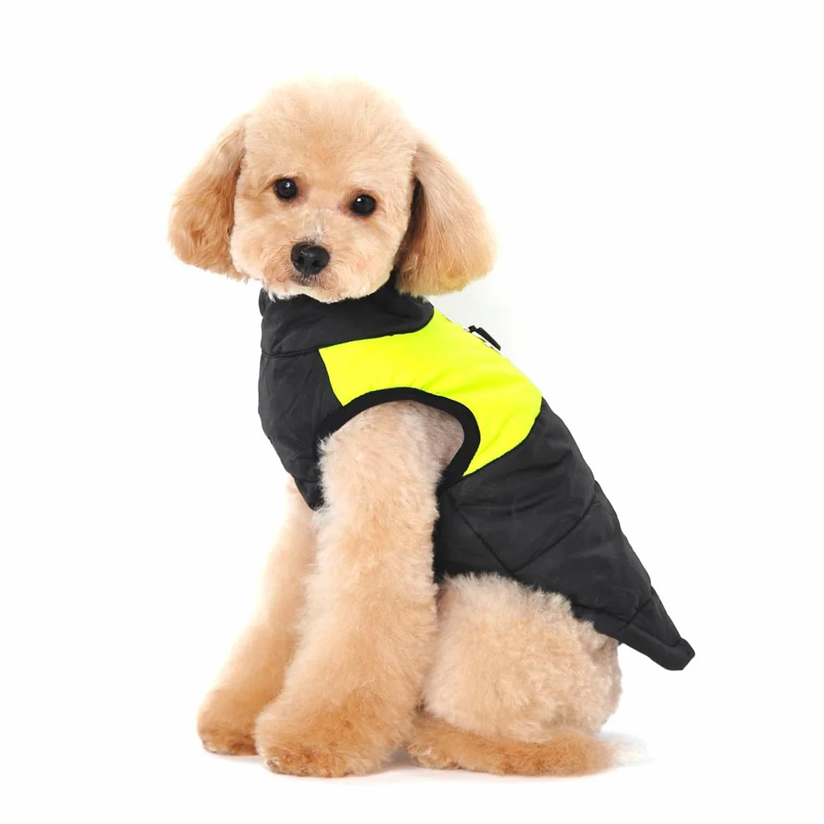 Animale Domestico Cane Cappotto Imbottito Giacca