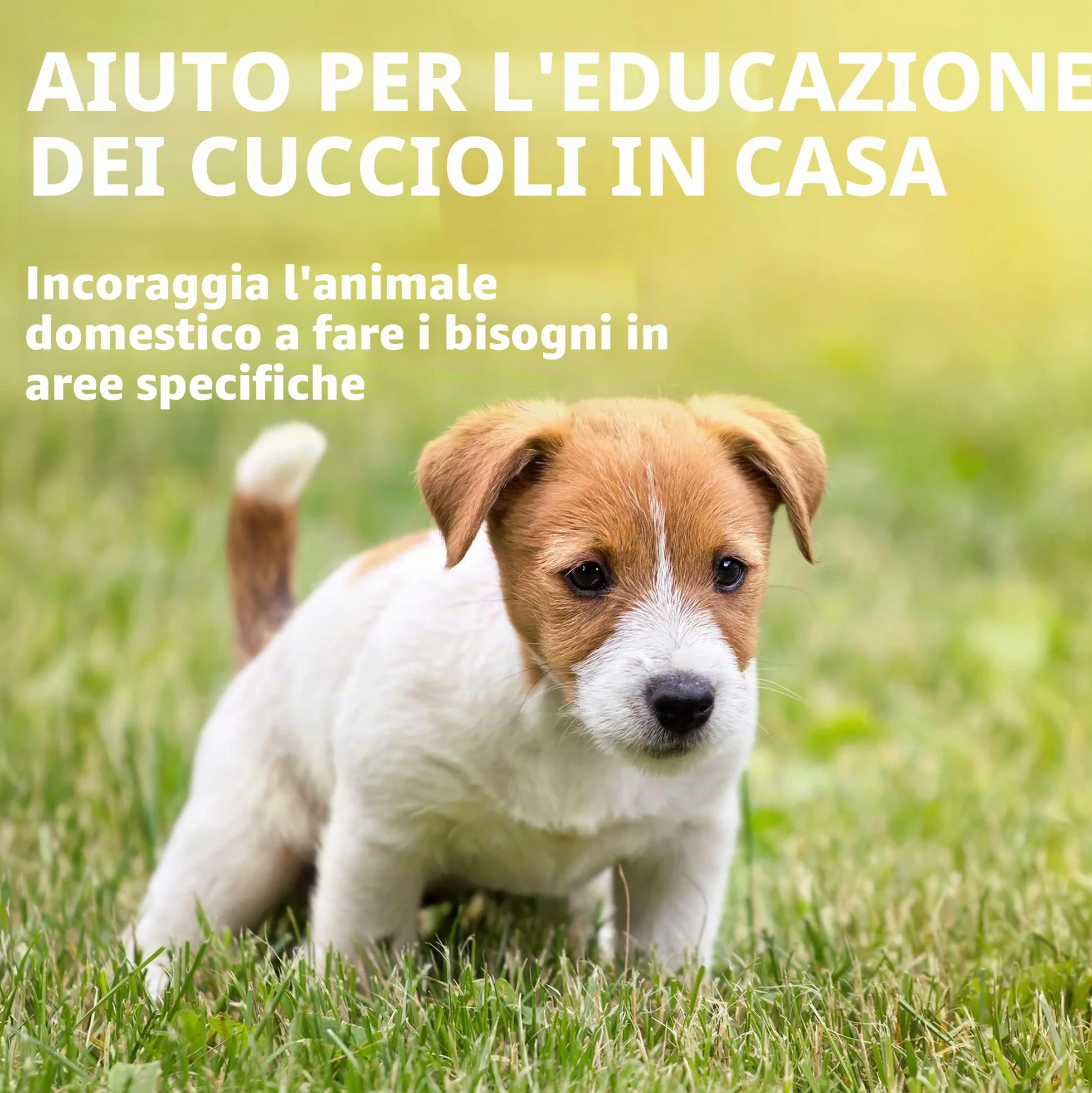 OUT! spray per l'addestramento di cani e cuccioli indoor e outdoor Aiuto alla formazione domestica - 500ml