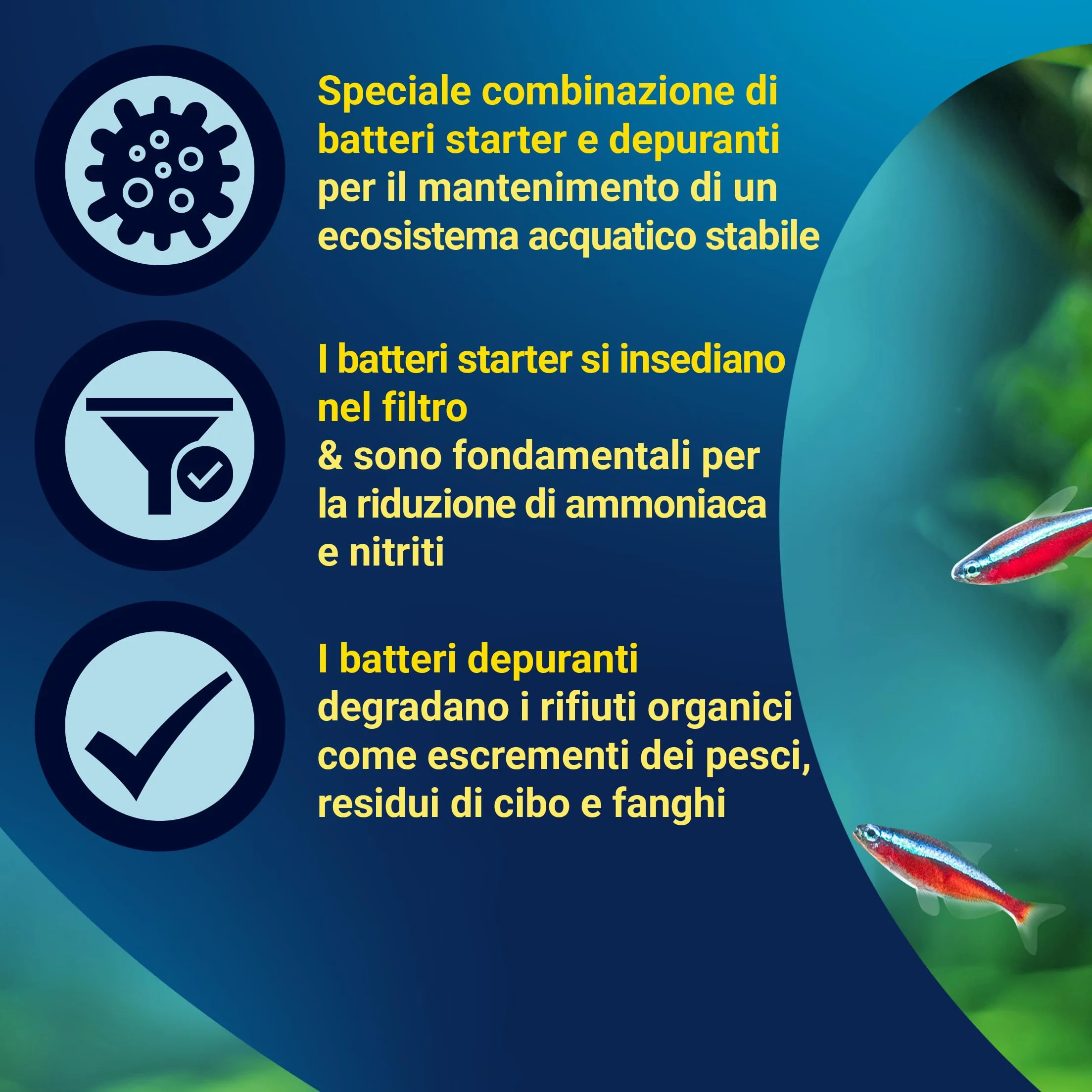Tetra FilterActive 250 ml Batteri Vivi Attivano Filtro Riducono Accumulo Impurità Mantiene Biologicamente Attivo